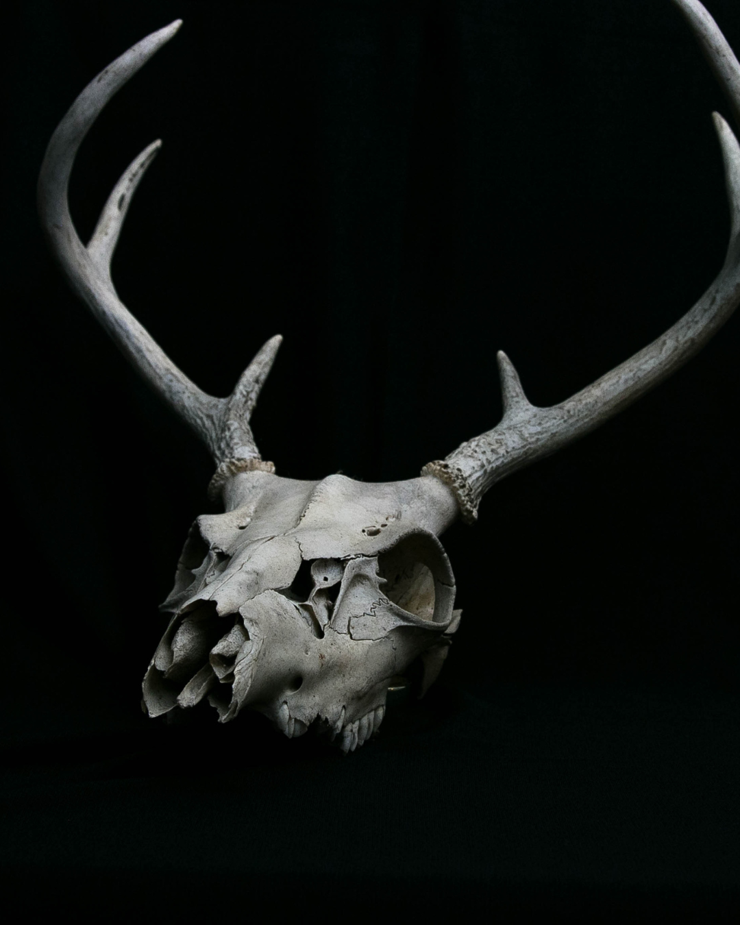 Wendigo