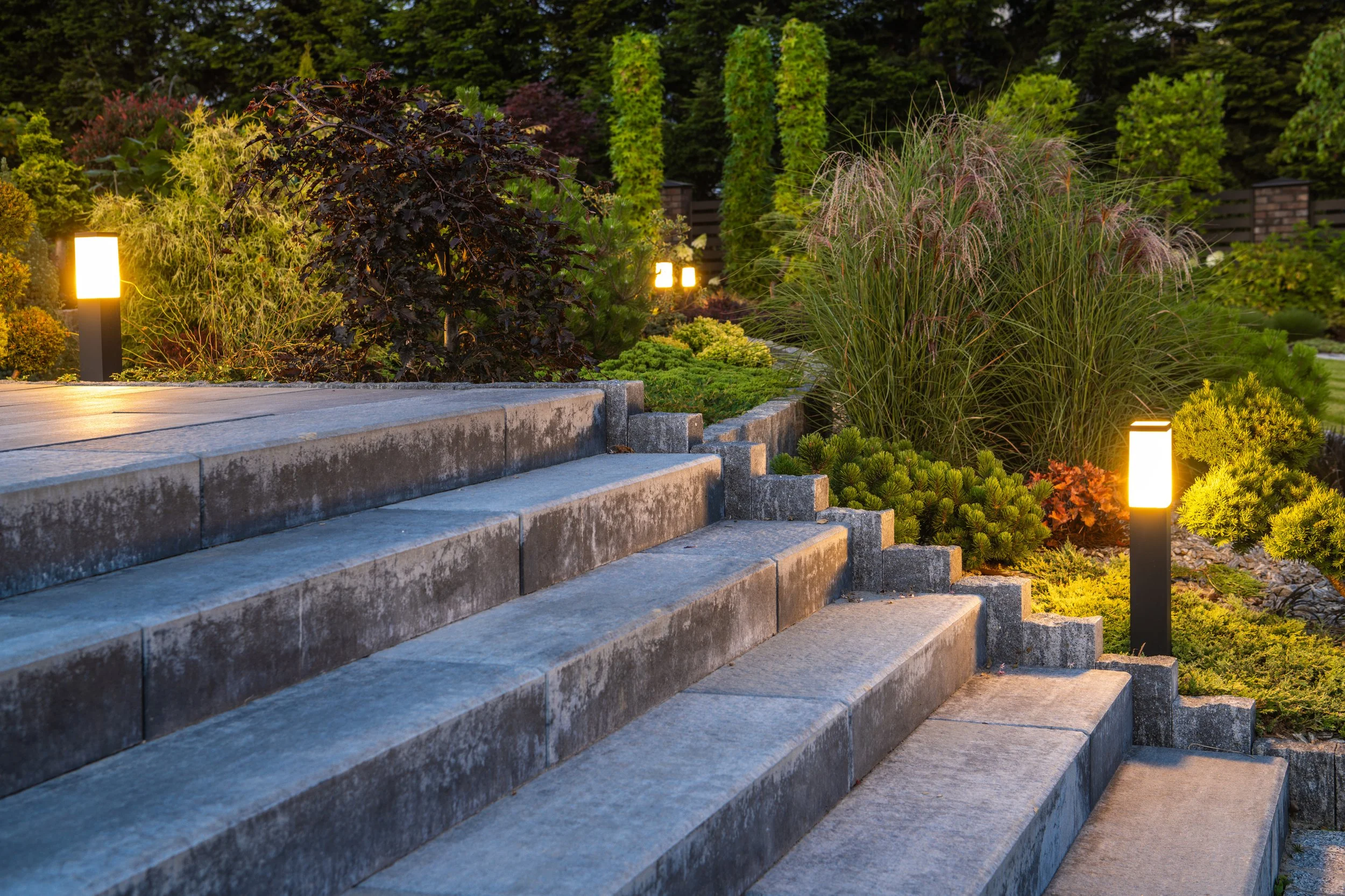 Garden and landscape lighting illuminating outdoor spaces
