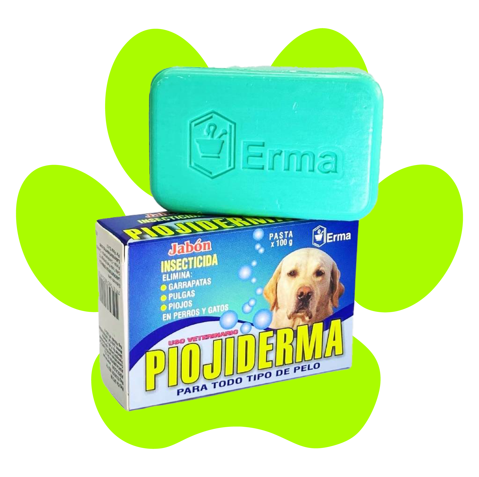 PIOJIDERMA