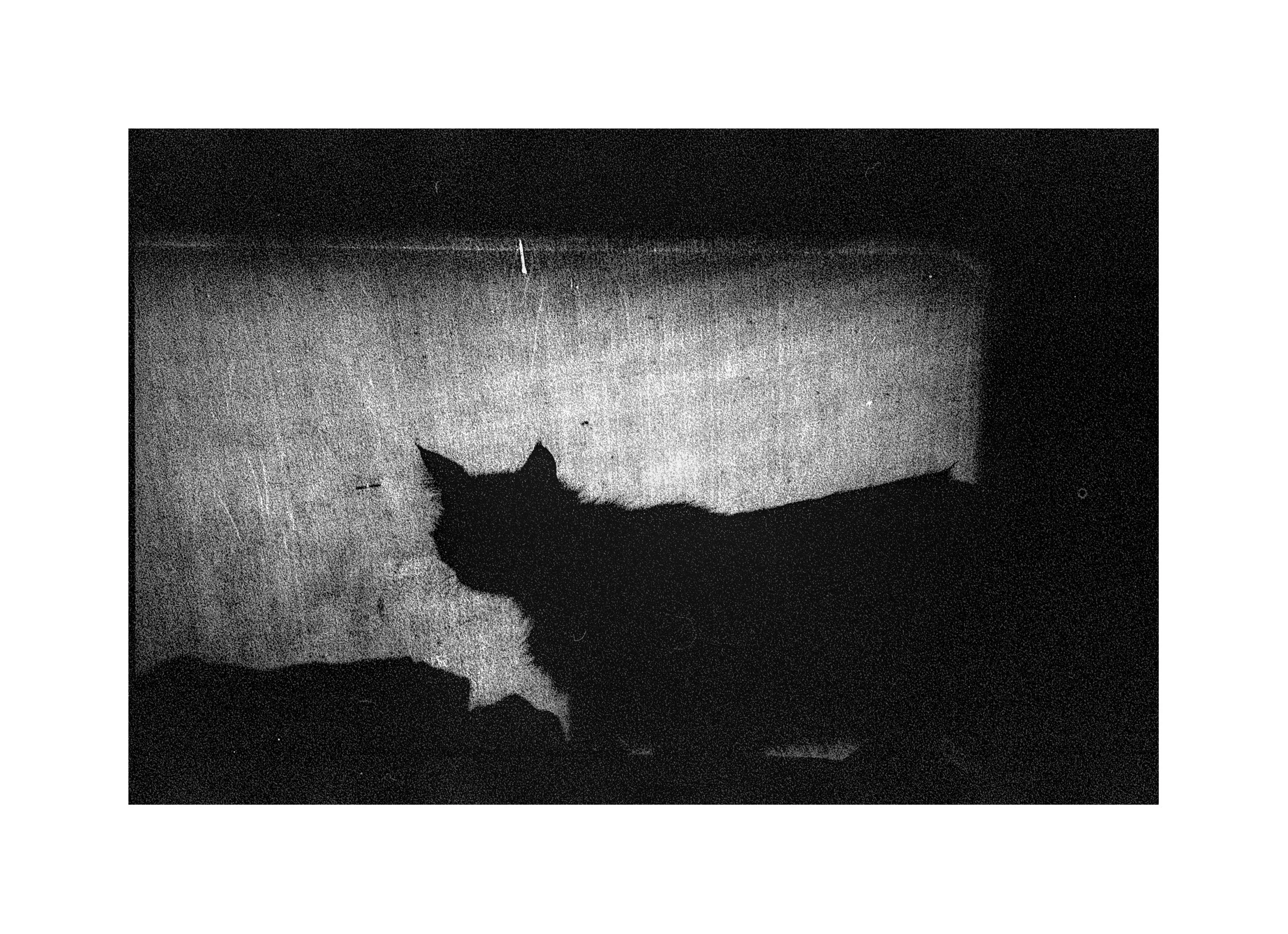 20180102_HP5_FM2_Hiver_Geneve_Caravane (11).jpg