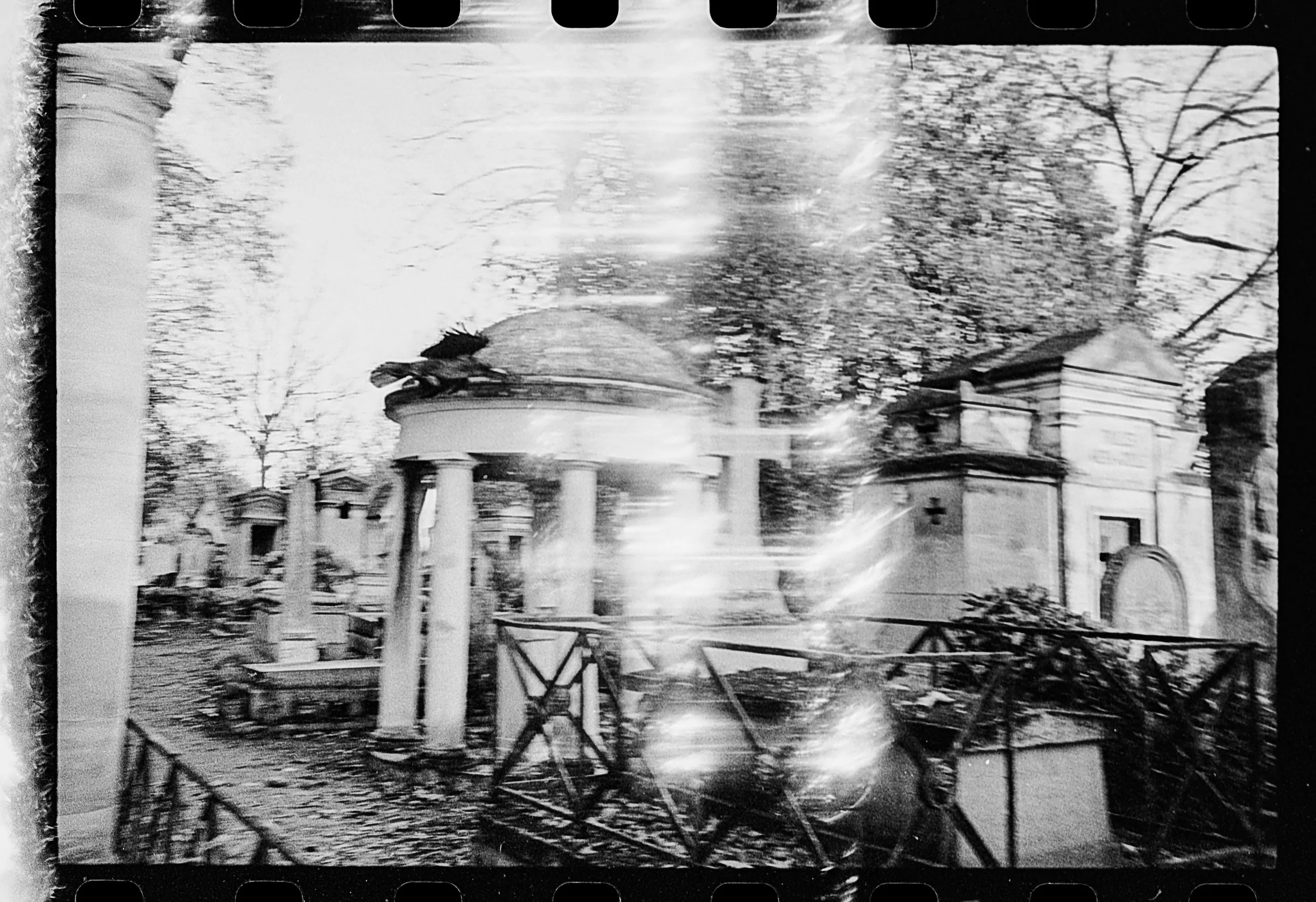 Romain_Sciacca (3)b.jpg