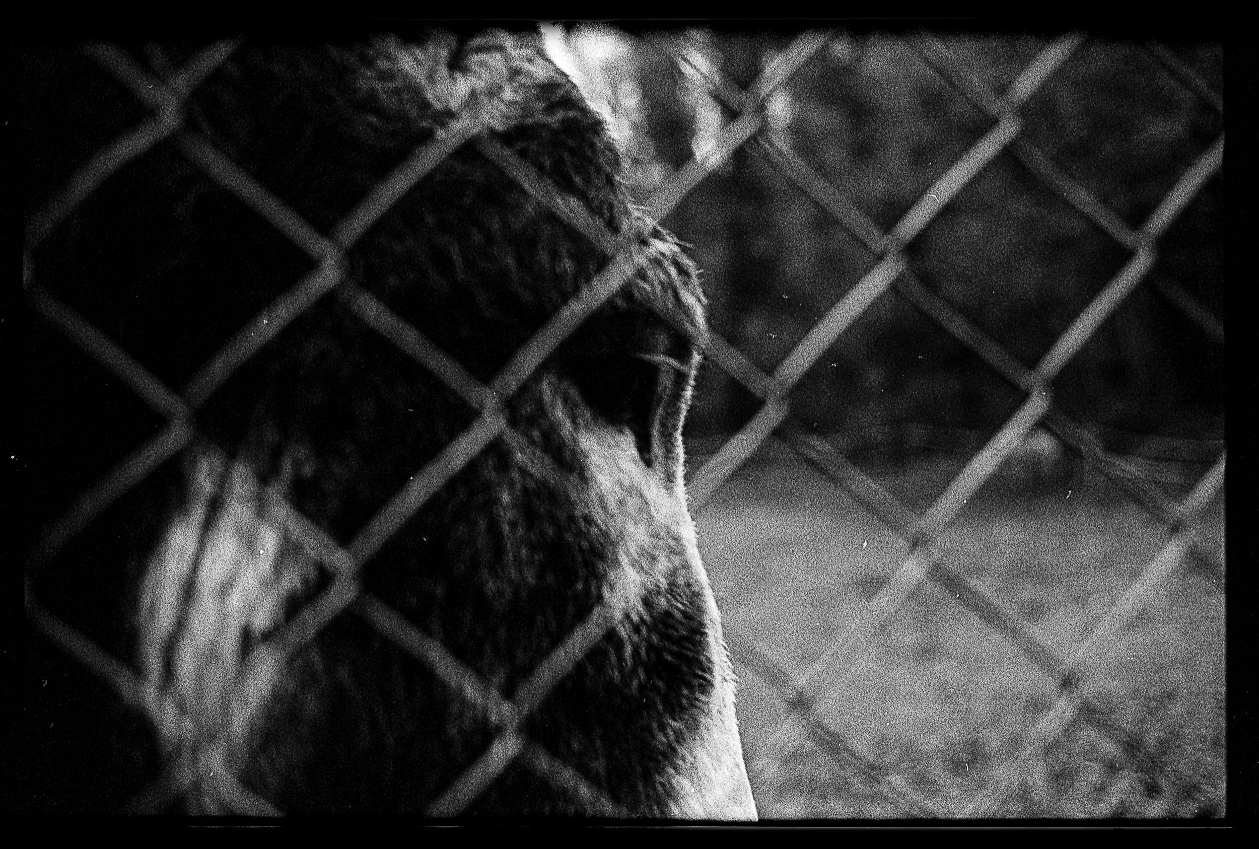 Romain_Sciacca (13).jpg