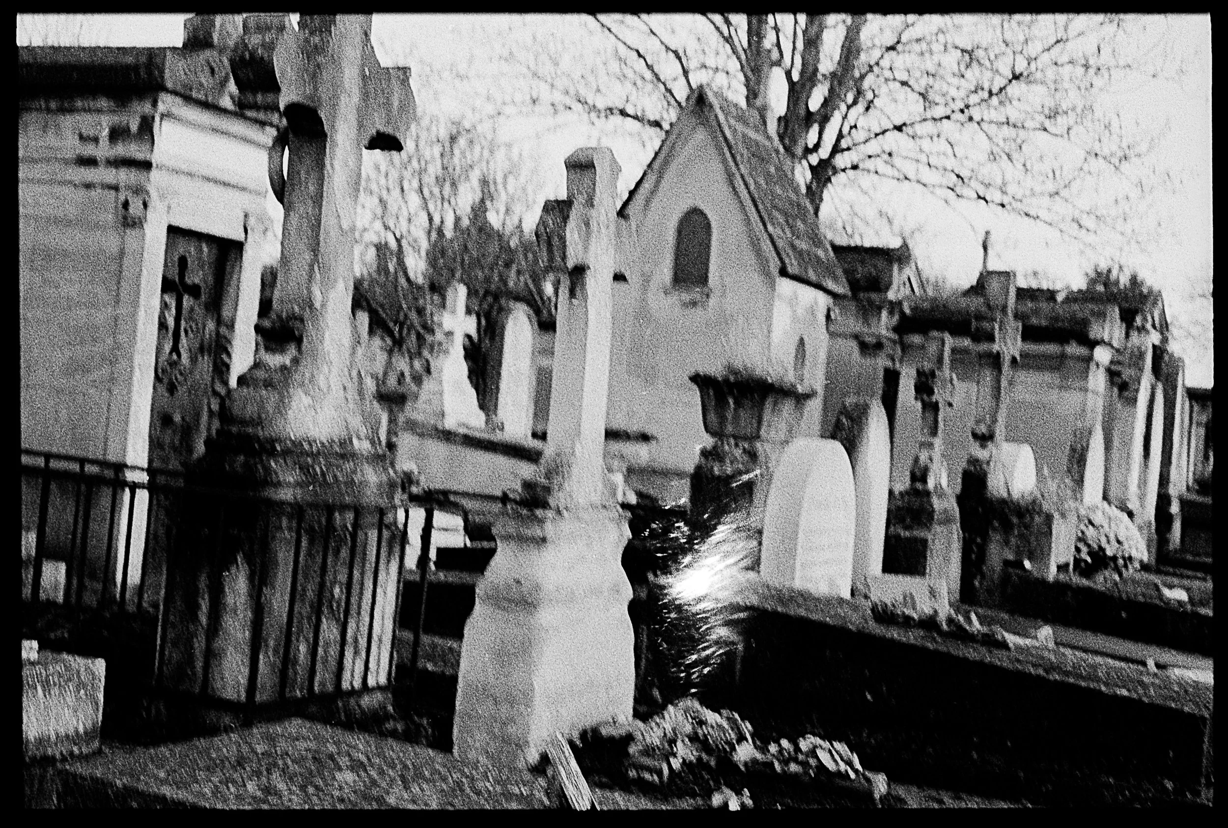 Romain_Sciacca (6).jpg