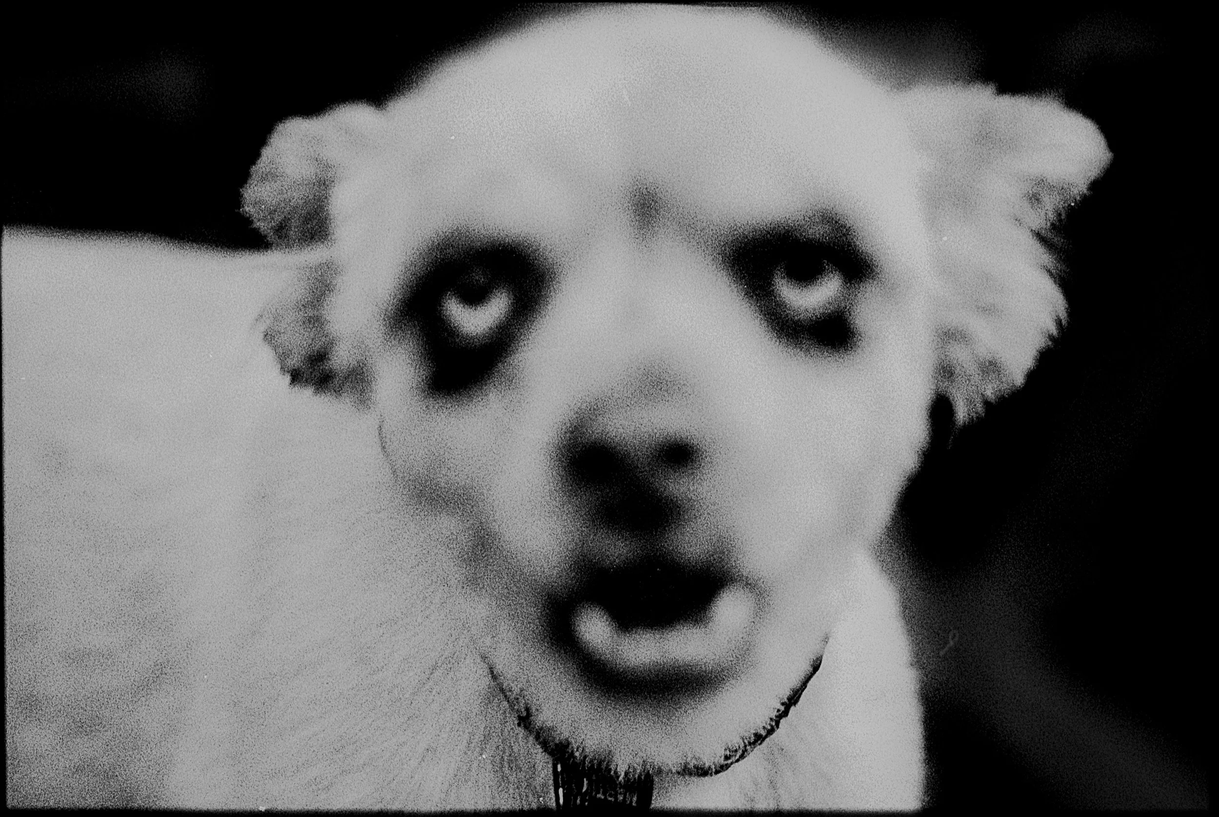 Romain_Sciacca (1).jpg