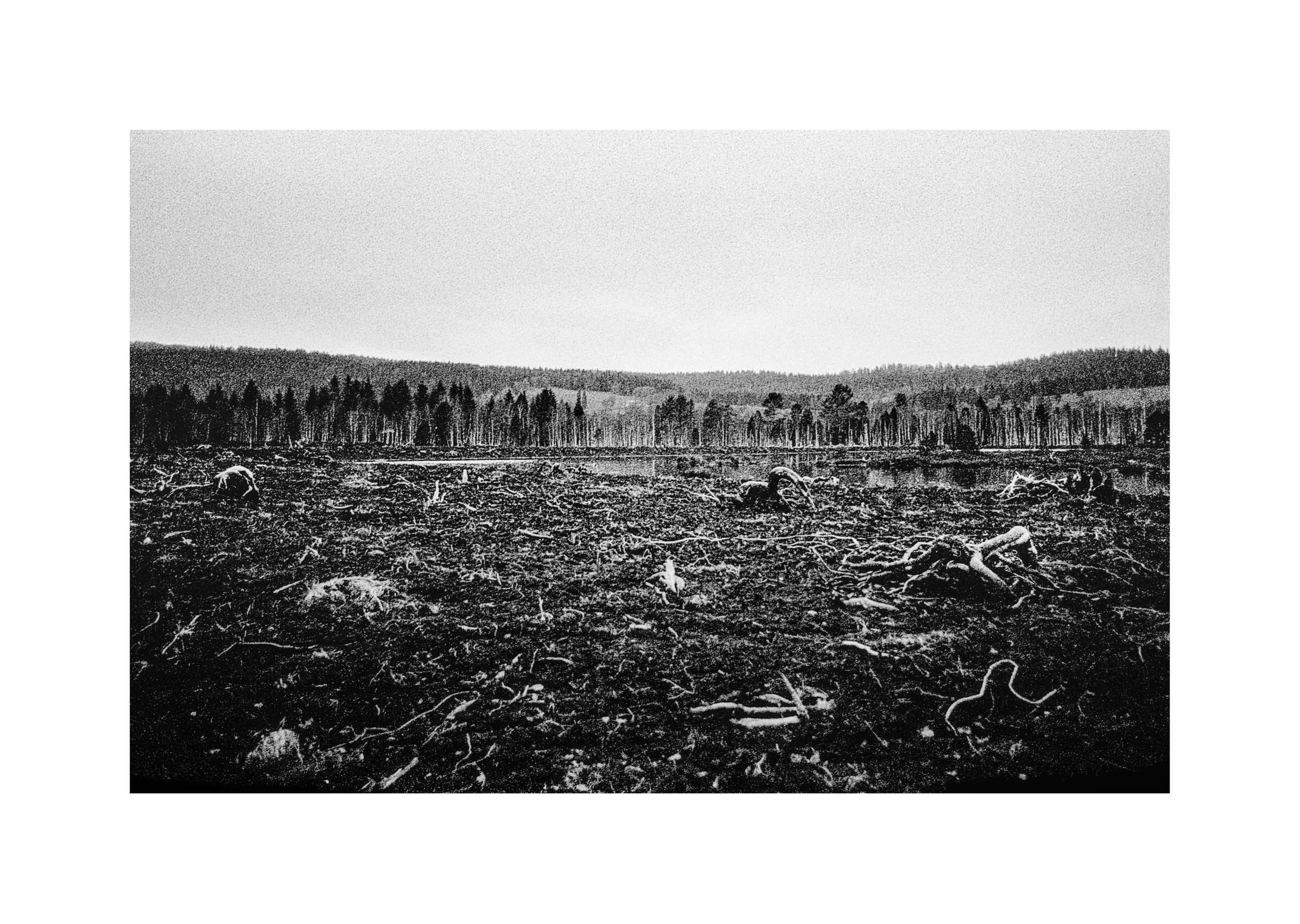 20250901_RescanNegatifsDivers (16).jpg