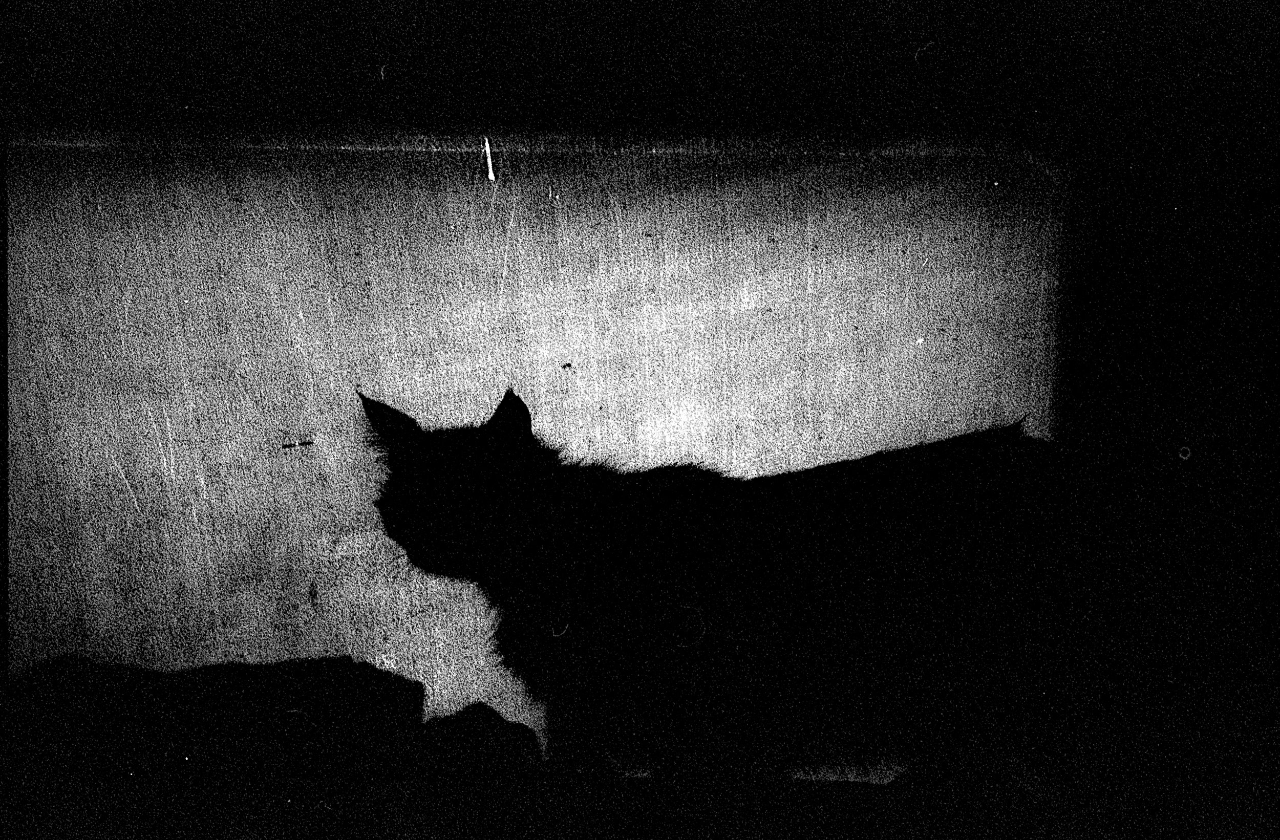 Romain_Sciacca (8).jpg