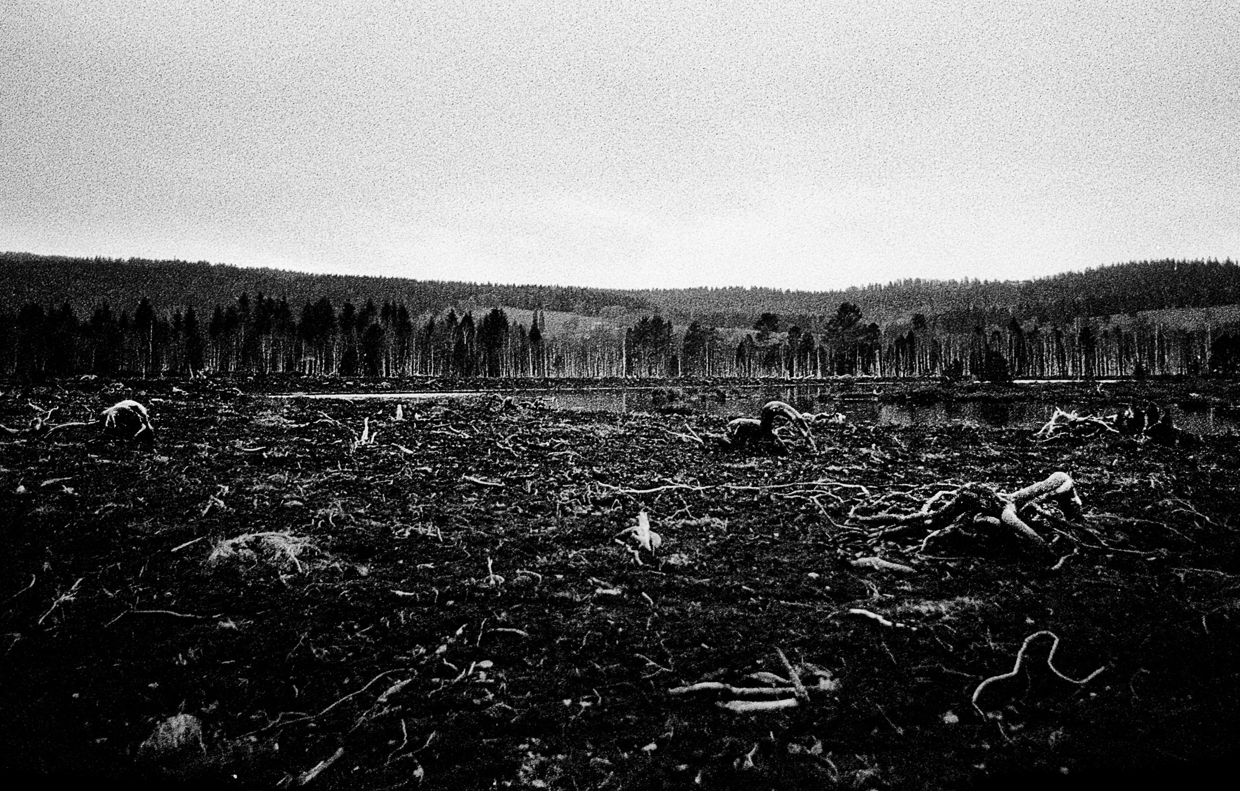 Romain_Sciacca (11).jpg