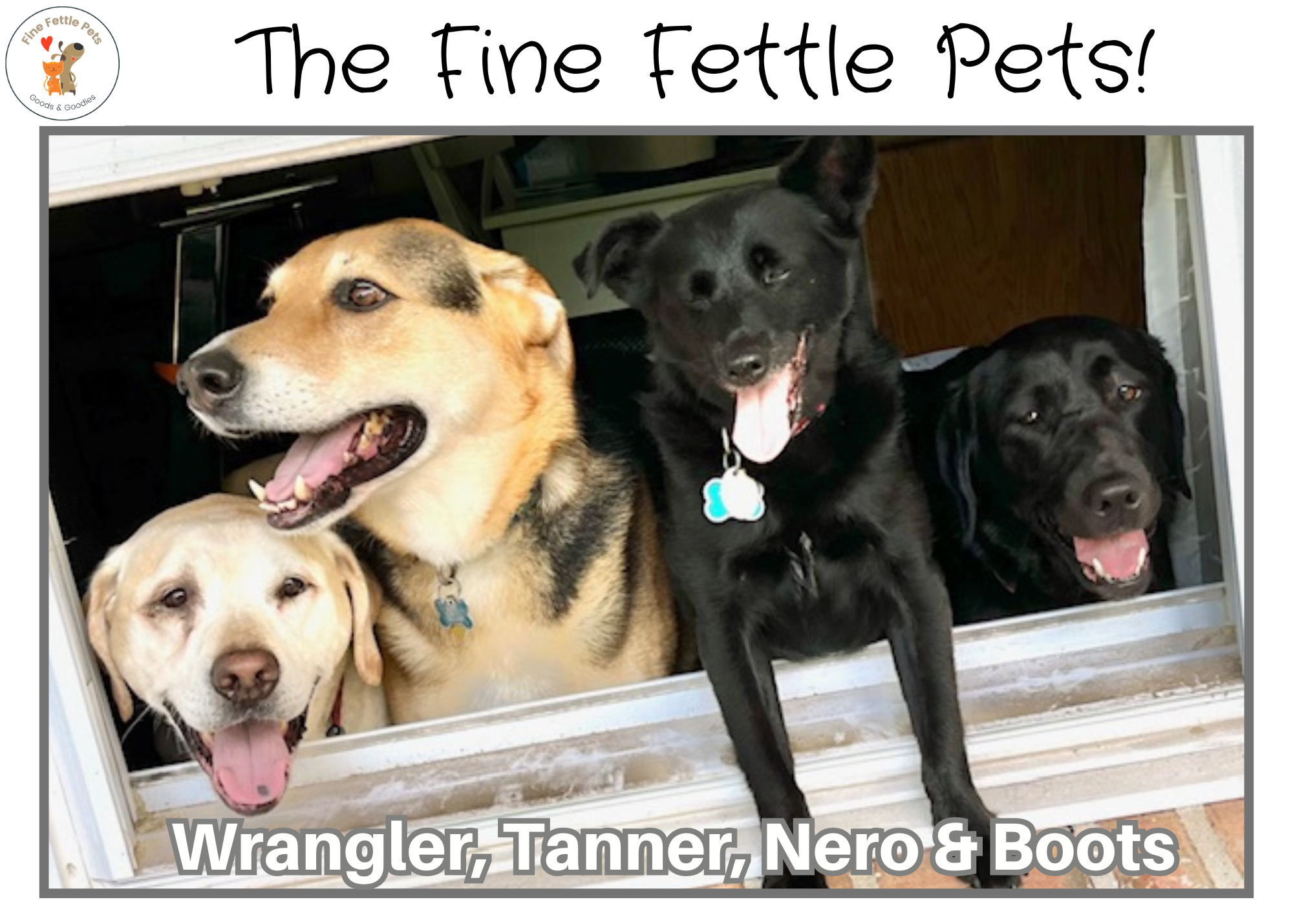 4 pups in window with FFP logo.png