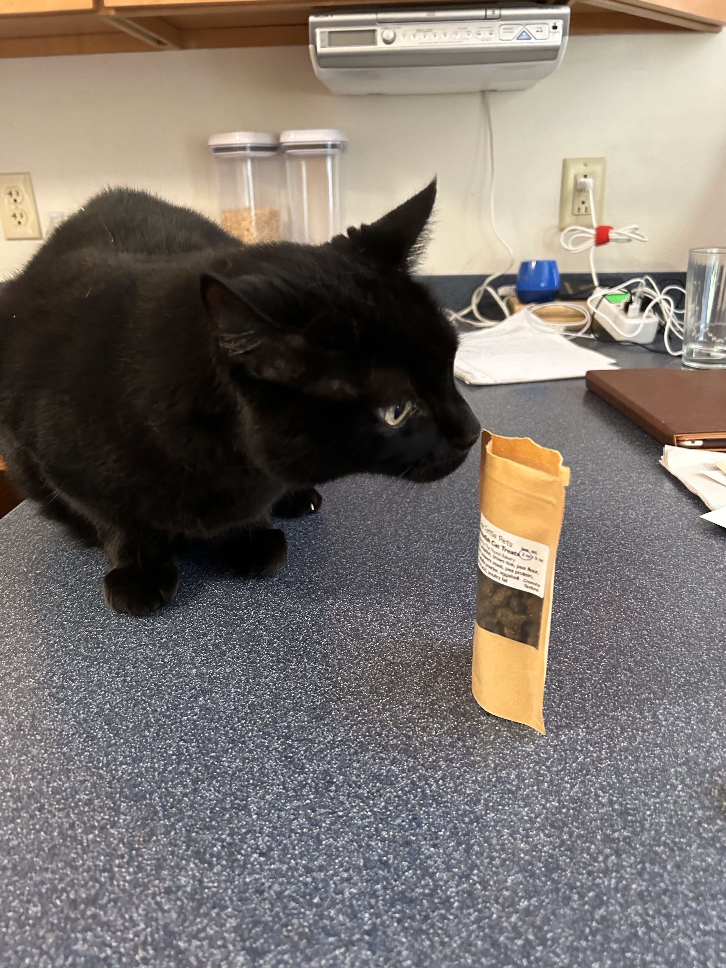 Whitefish Cat Treats- 5 oz bag