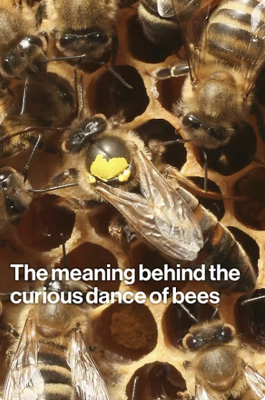 Screenshot 2025-05-04 at 19.24.31.png