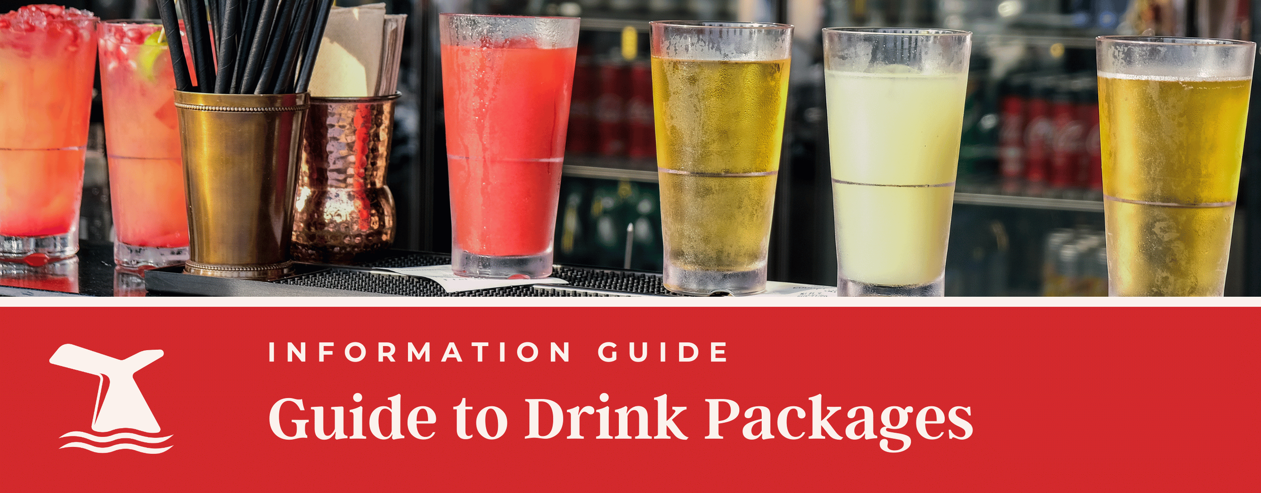 Package Inclusions Header Drink Packages Comparison: Inclusions, Pricing, & What’s Included with ...