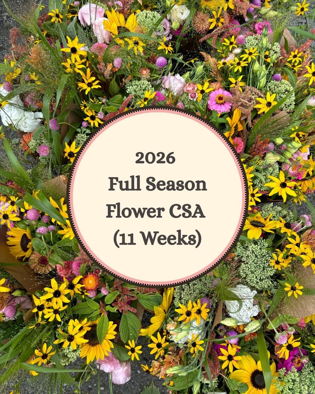 2026 Full Season Flower CSA (11 weeks)