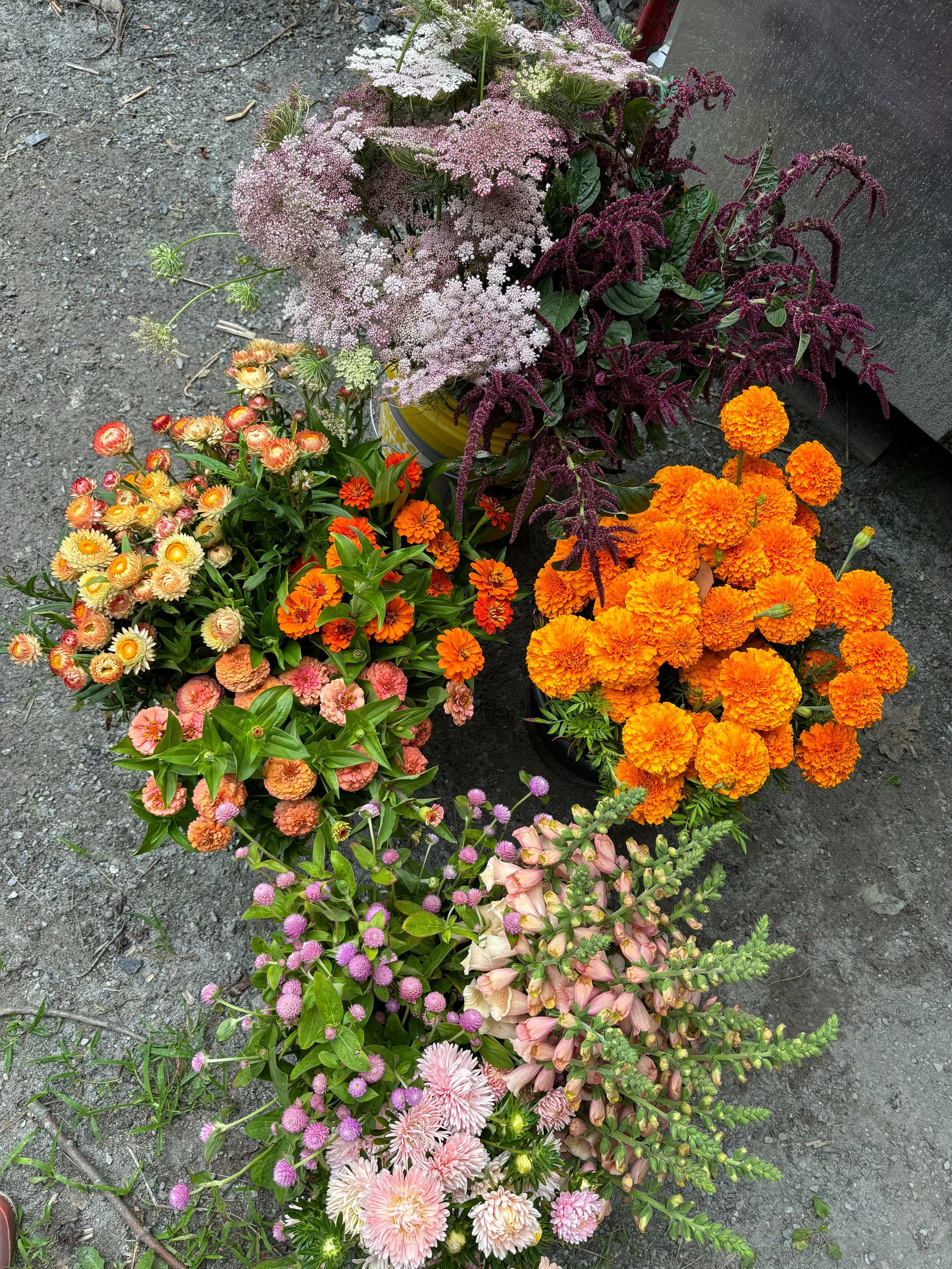 Photo Jul 29 2024, 11 07 36.jpg