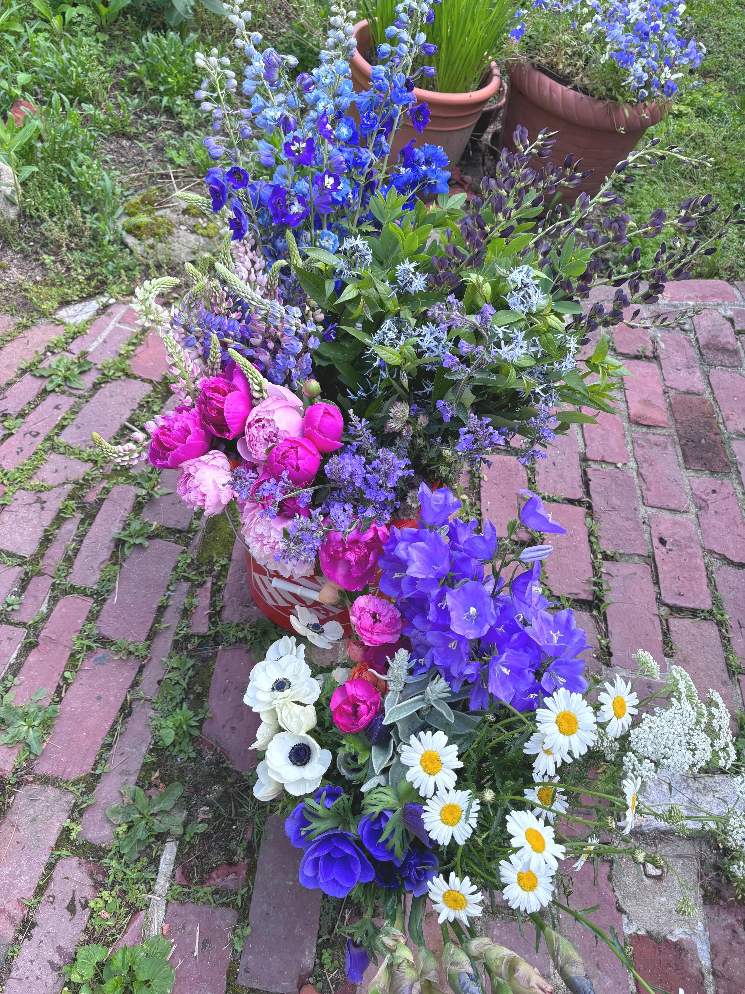 Bucket of Blooms