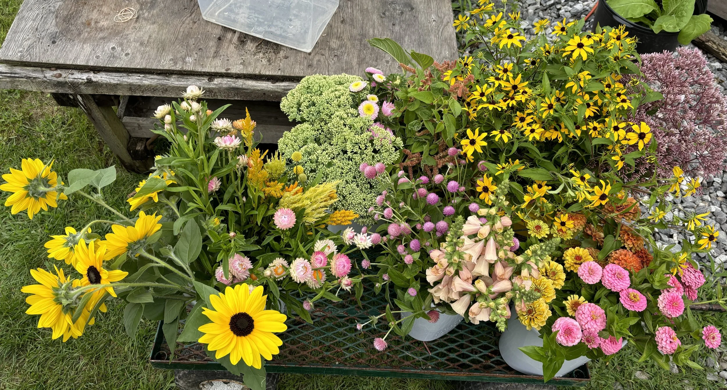 Photo Aug 06 2024, 15 07 46.jpg