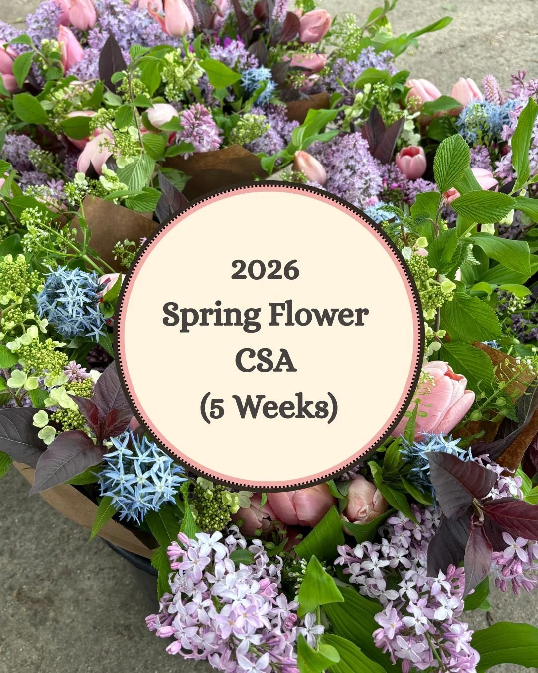 2026 Spring Flower CSA (5 weeks)