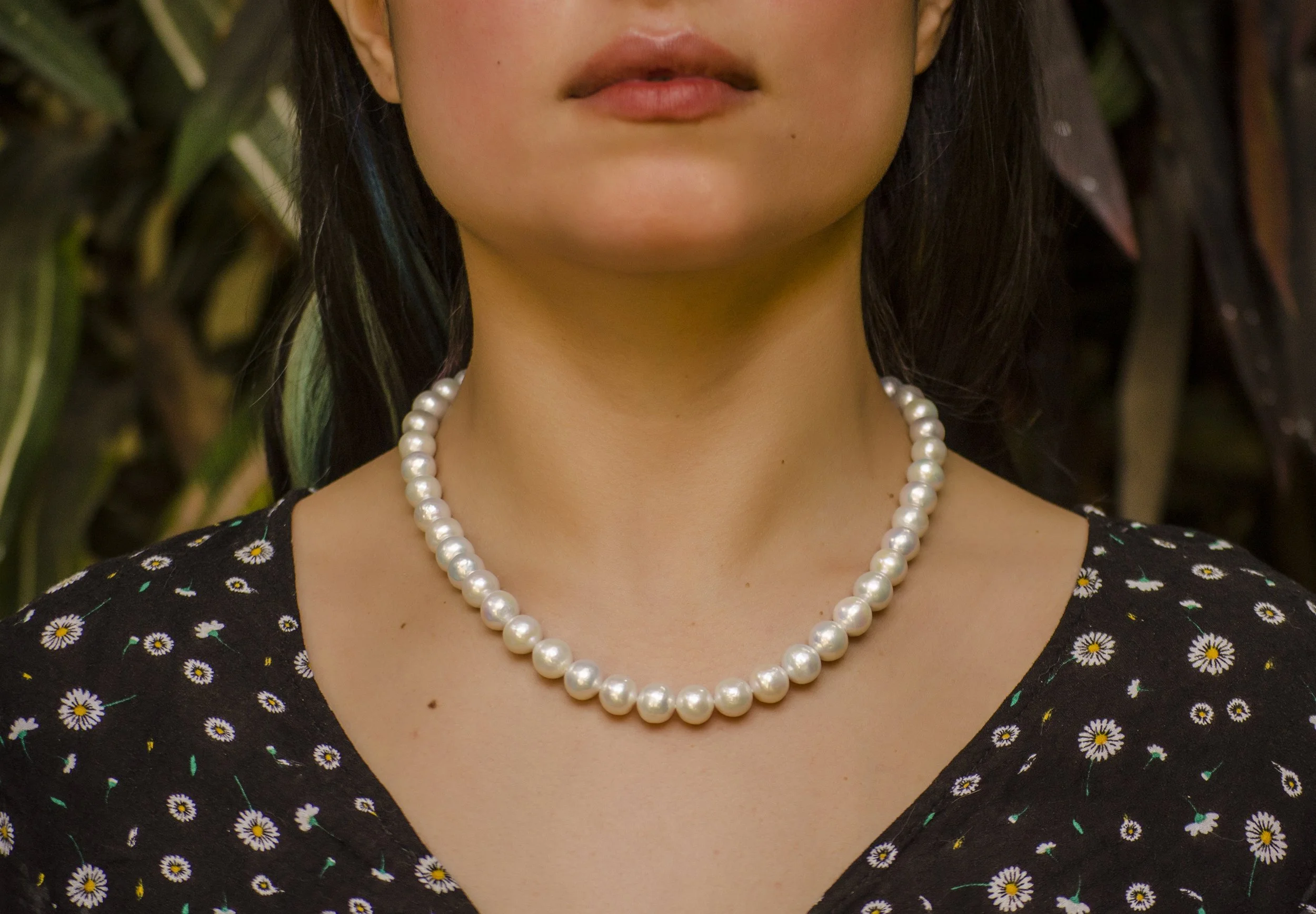 product photography - Perlas Pacifico