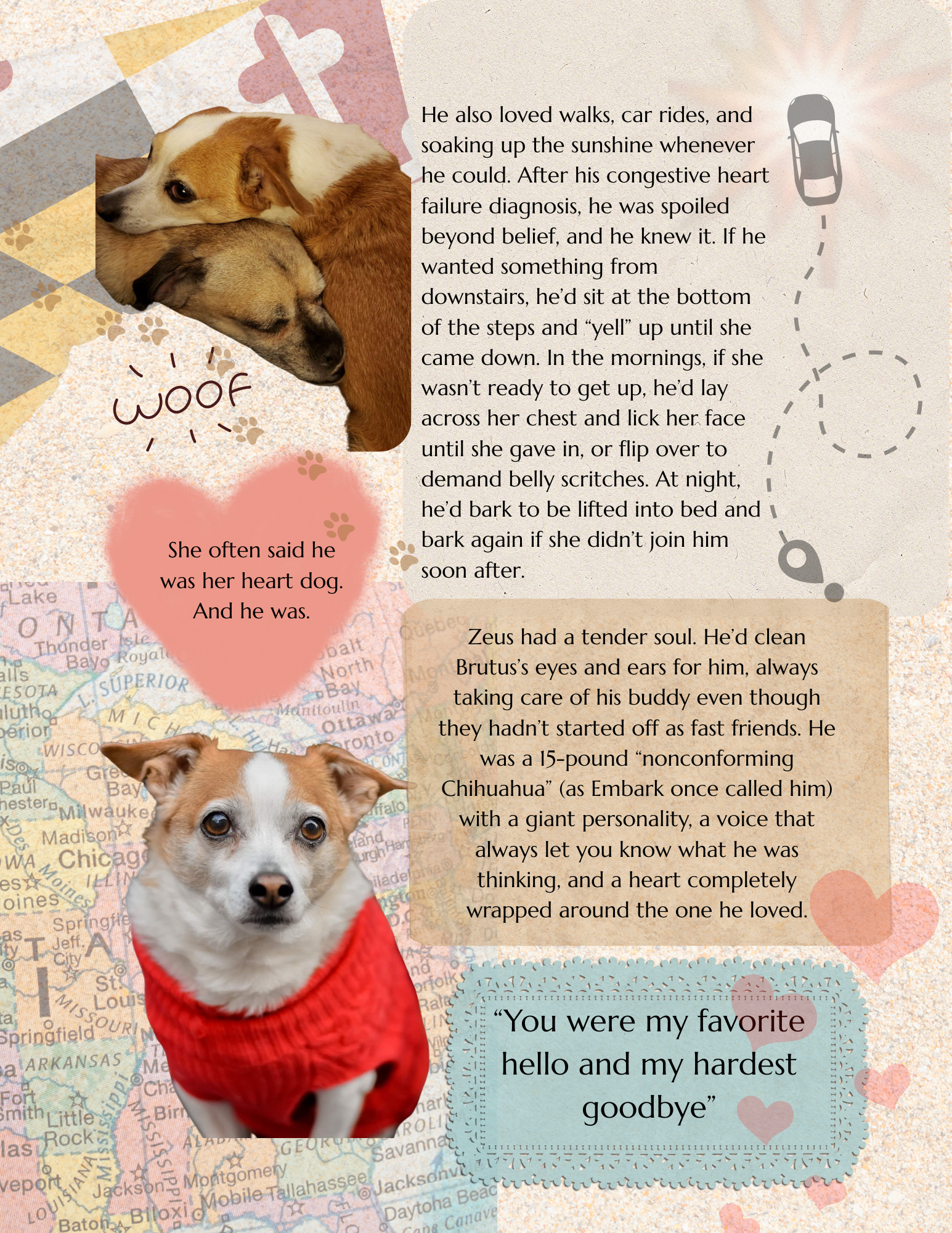 Pet Memorial Memory Moment