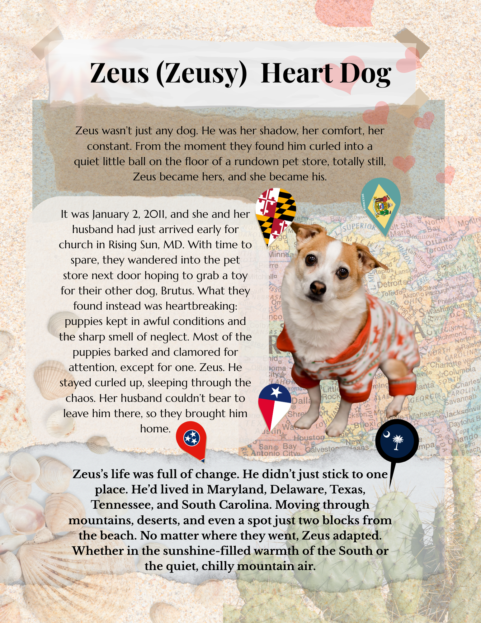 Pet Memorial Memory Moment