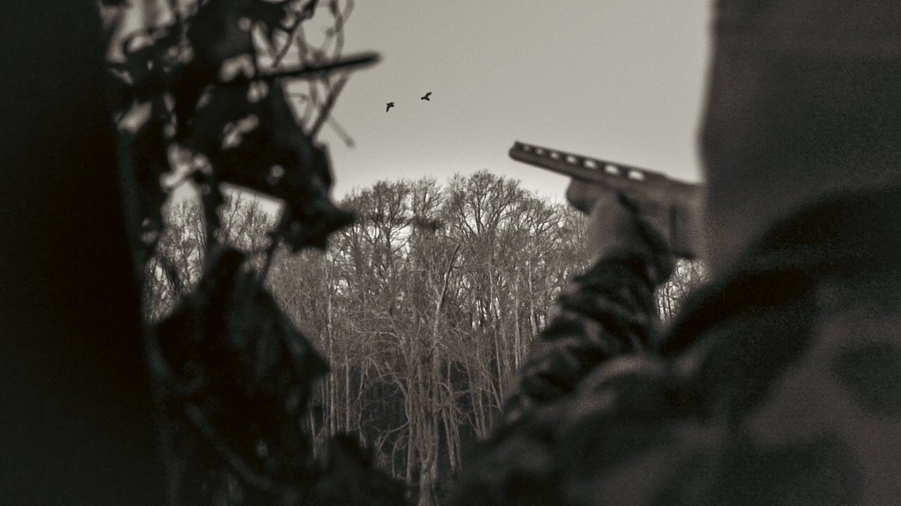 C0017T01.jpg