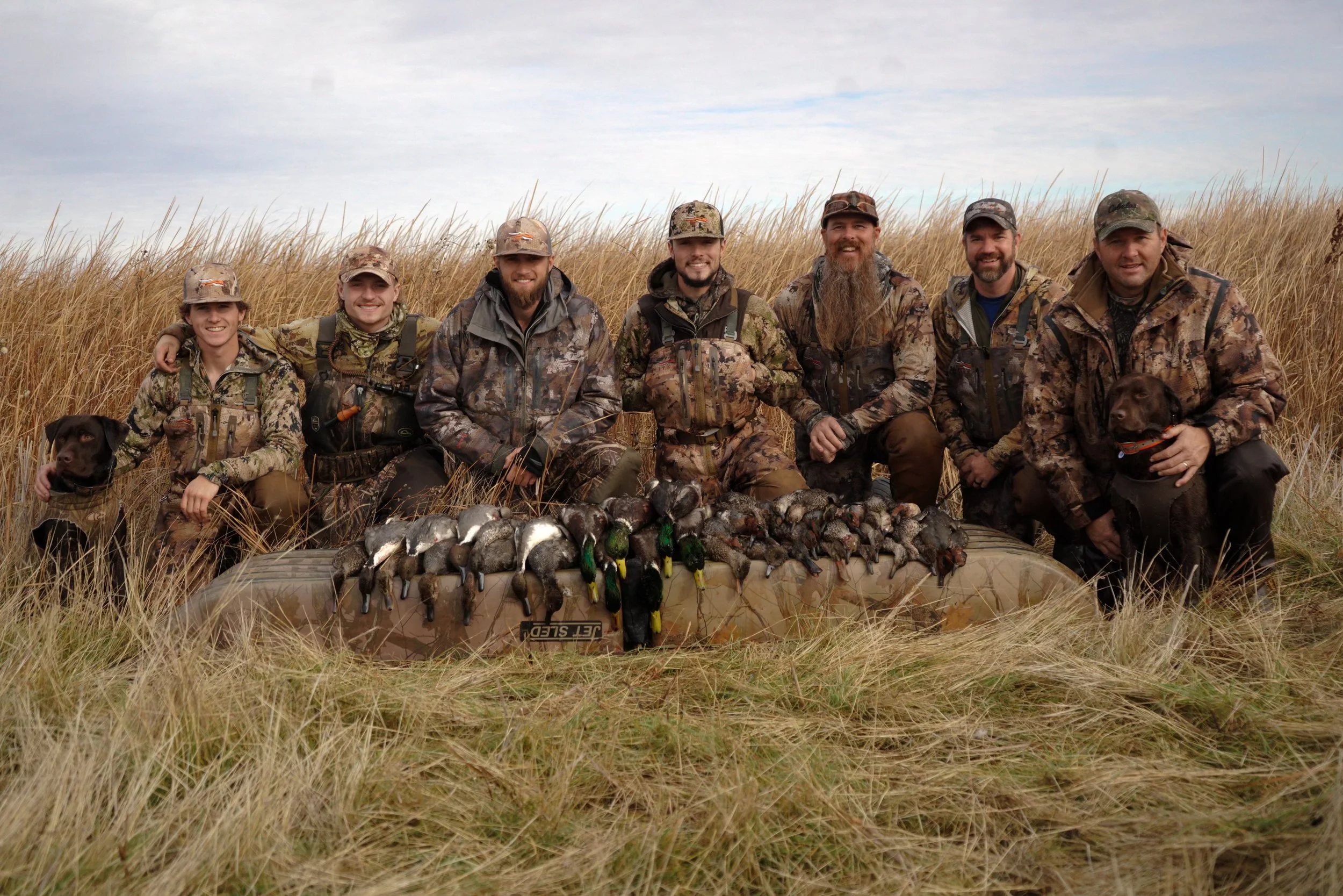 A group of hunters in camouflage clothing kneeling and sitting in a field of tall grass, with a large collection of hunted ducks displayed in front of them, and two dogs, one on each end of the group.