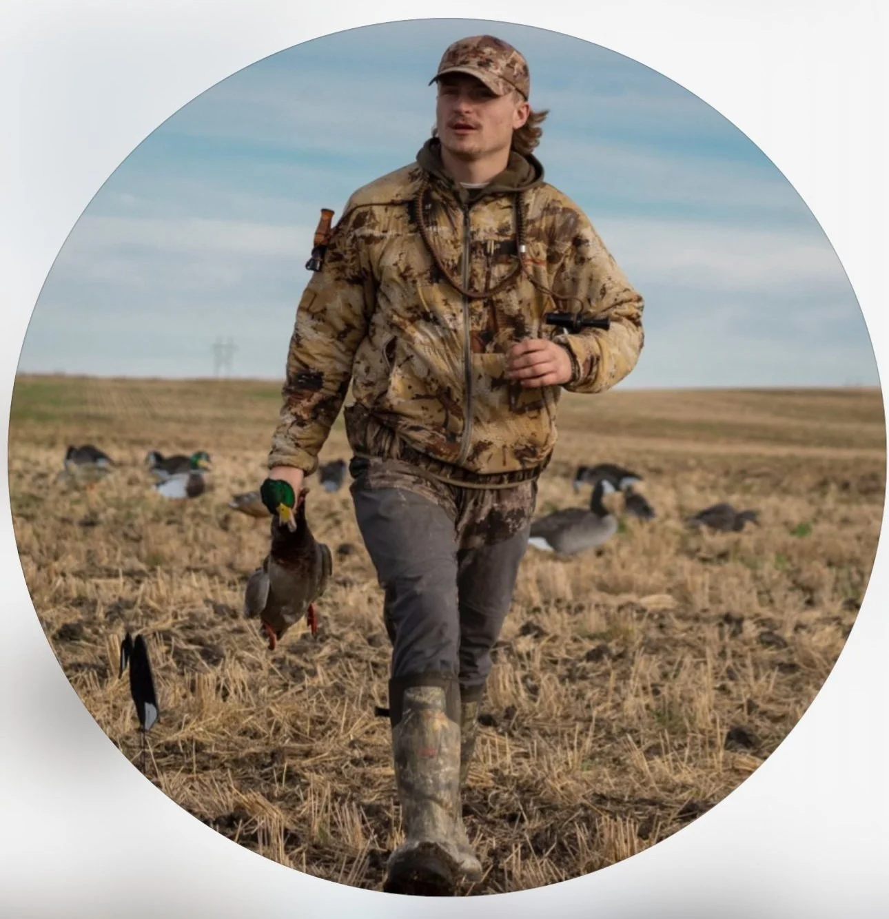 A man in camouflage clothing and rubber boots walking through a field, holding a dead duck, with several ducks behind him.