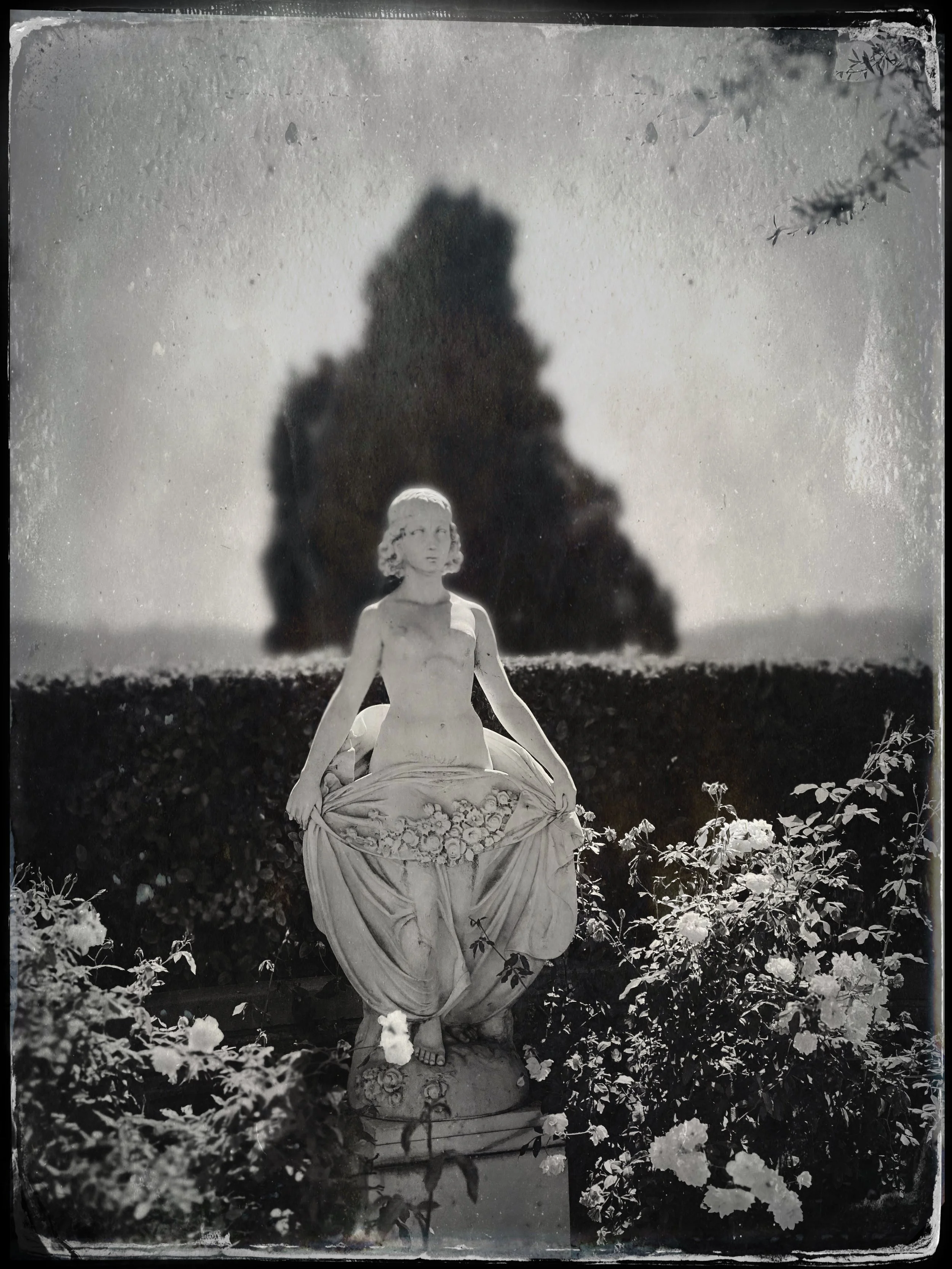 Forestlawn-favorite copy.jpg