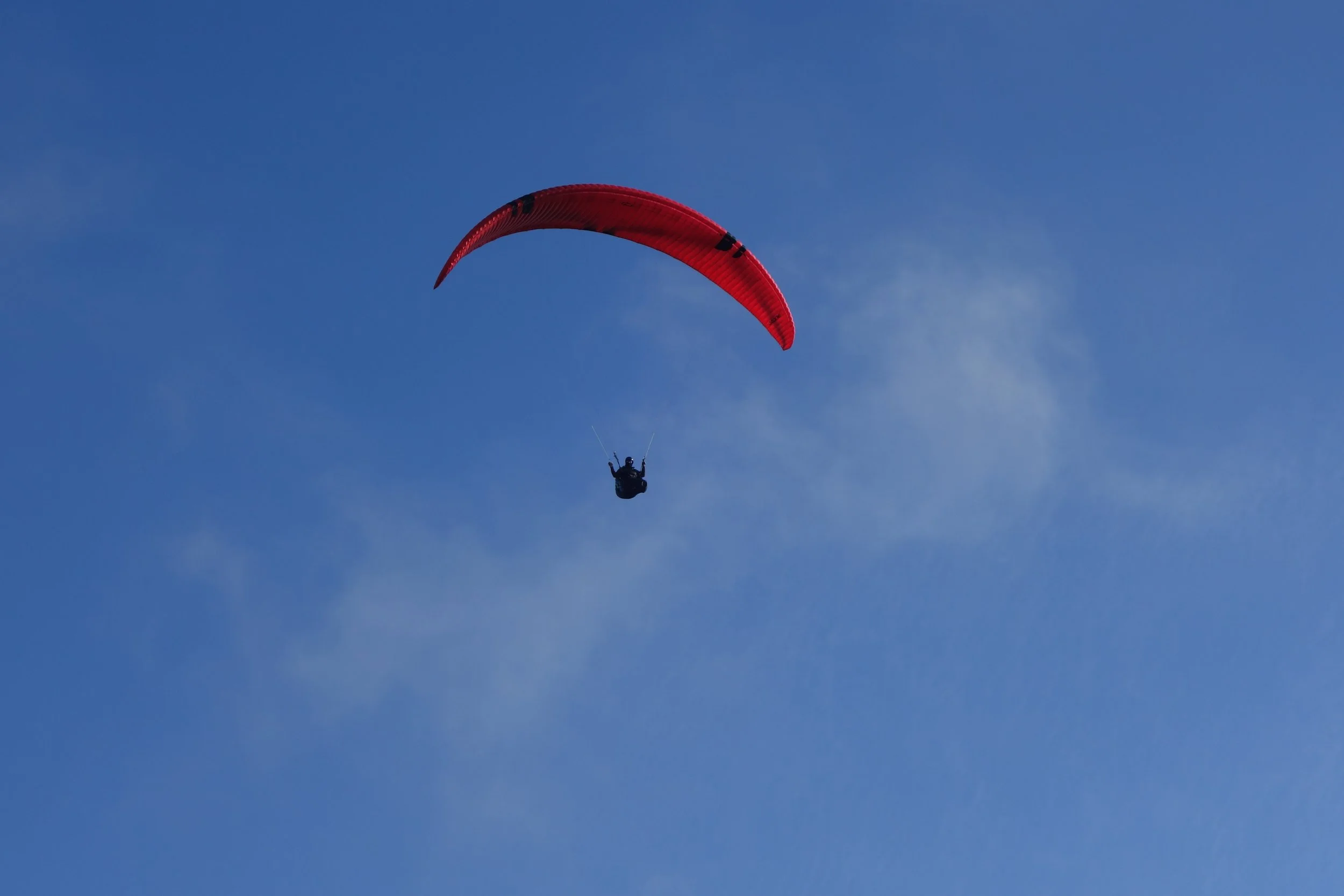 DSC04848.JPG
