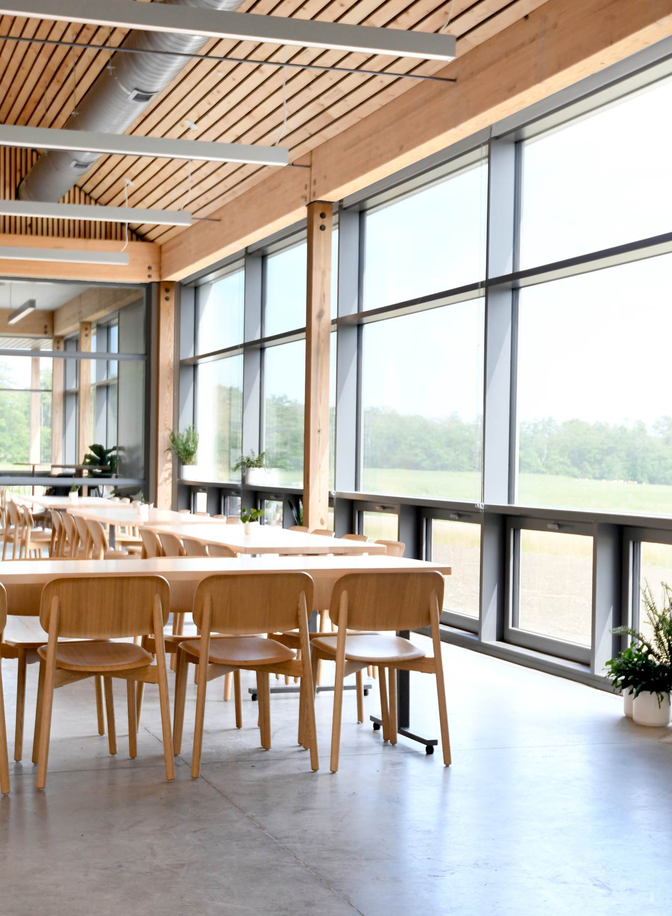 Wolfe's Neck- Smith Center