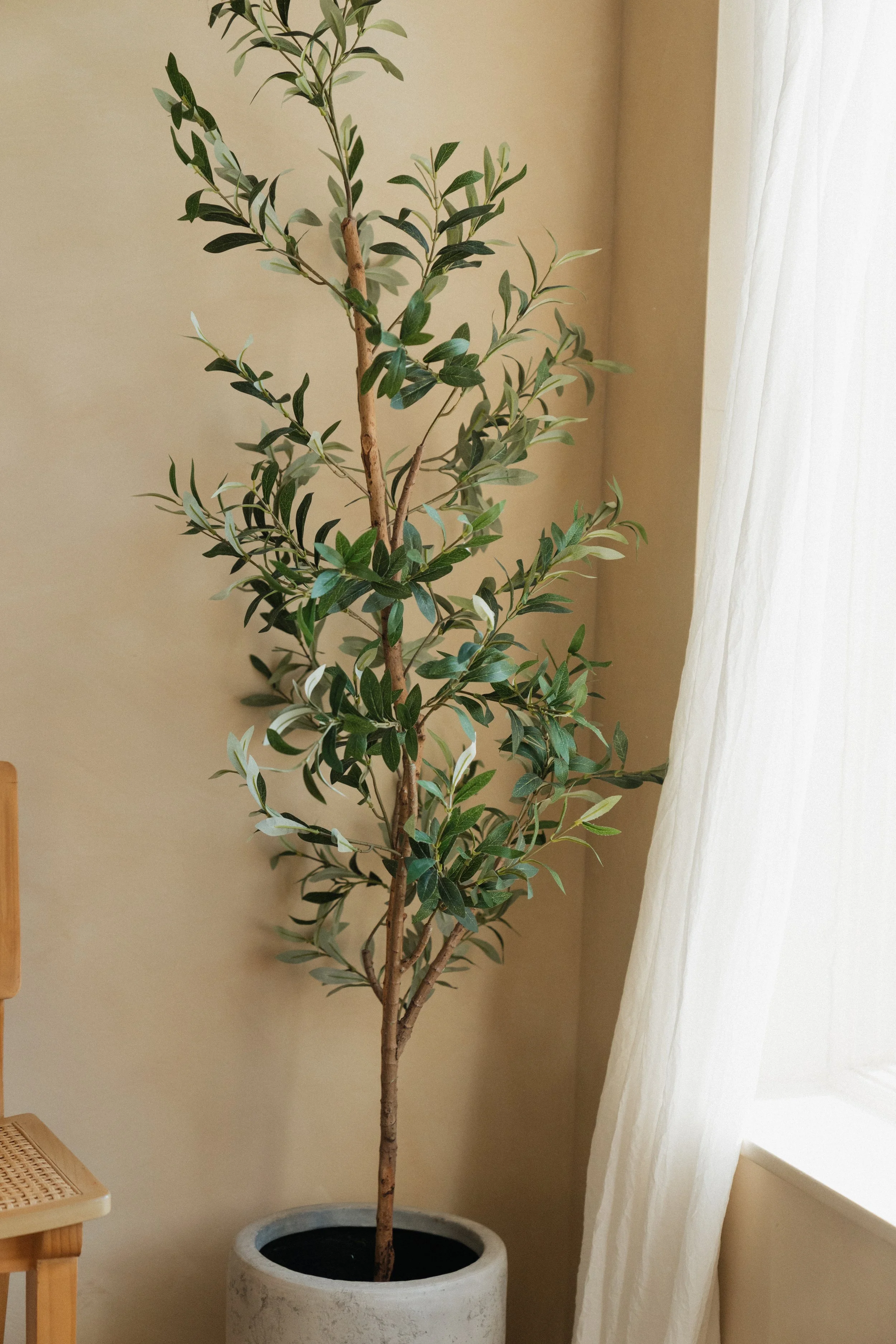 photography-studio-grand-rapids-michigan