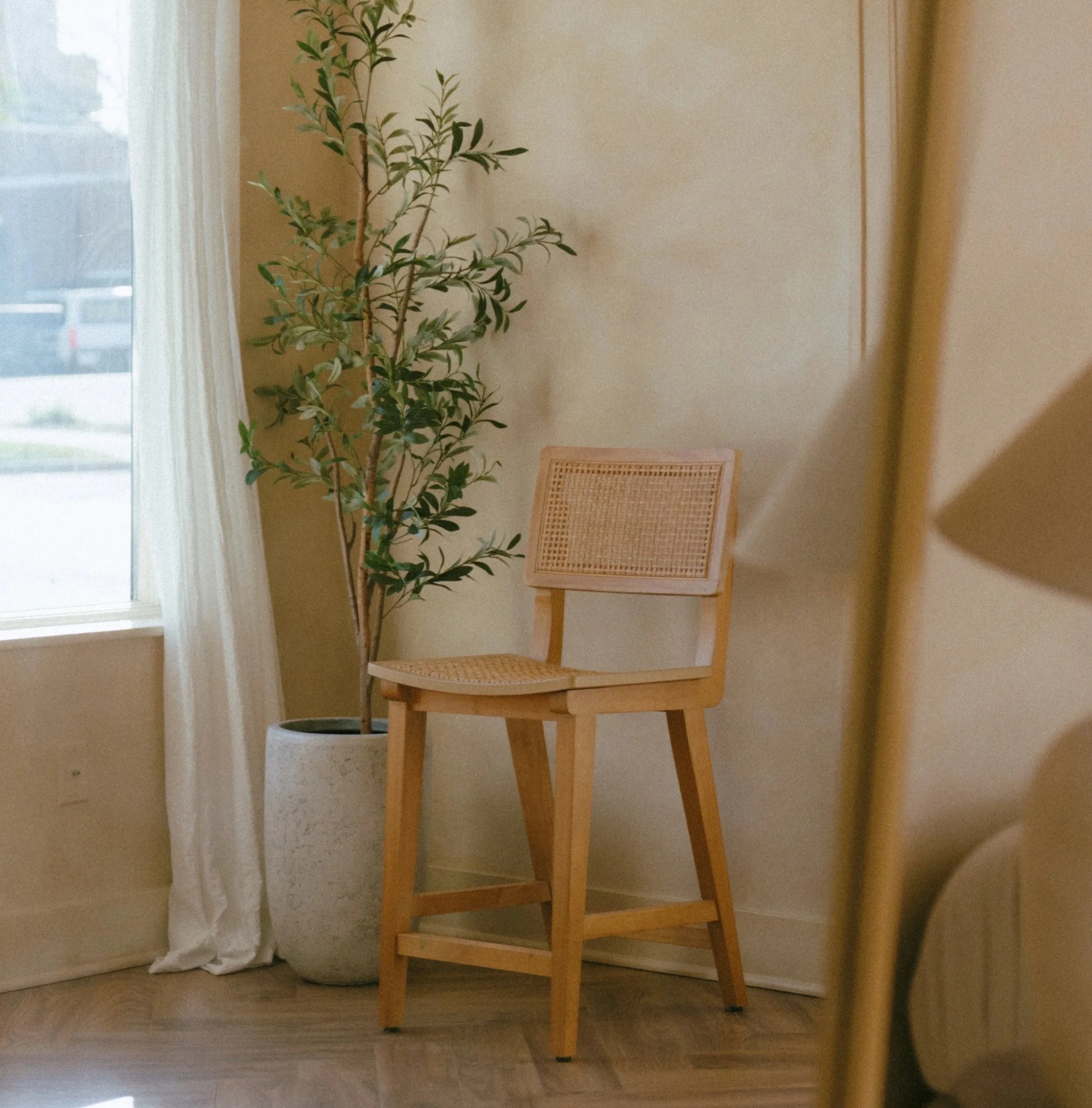 olive tree in white clay pot wooden stool flowing white curtain Grand Rapids photo studio
