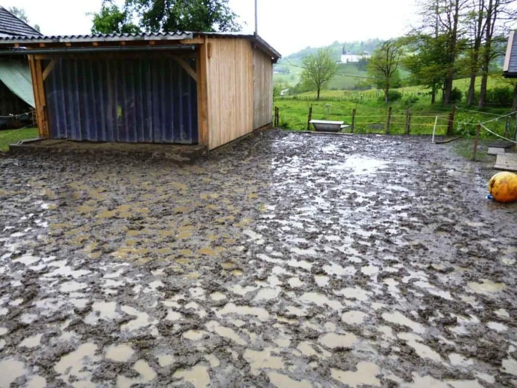 Muddy paddock