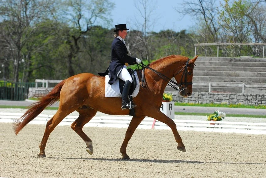 A woman riding a chestnut horse in a dressage arena during a dressage competition.