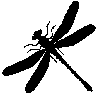 Dragonfly a.png (Copy) (Copy) (Copy) (Copy) (Copy)