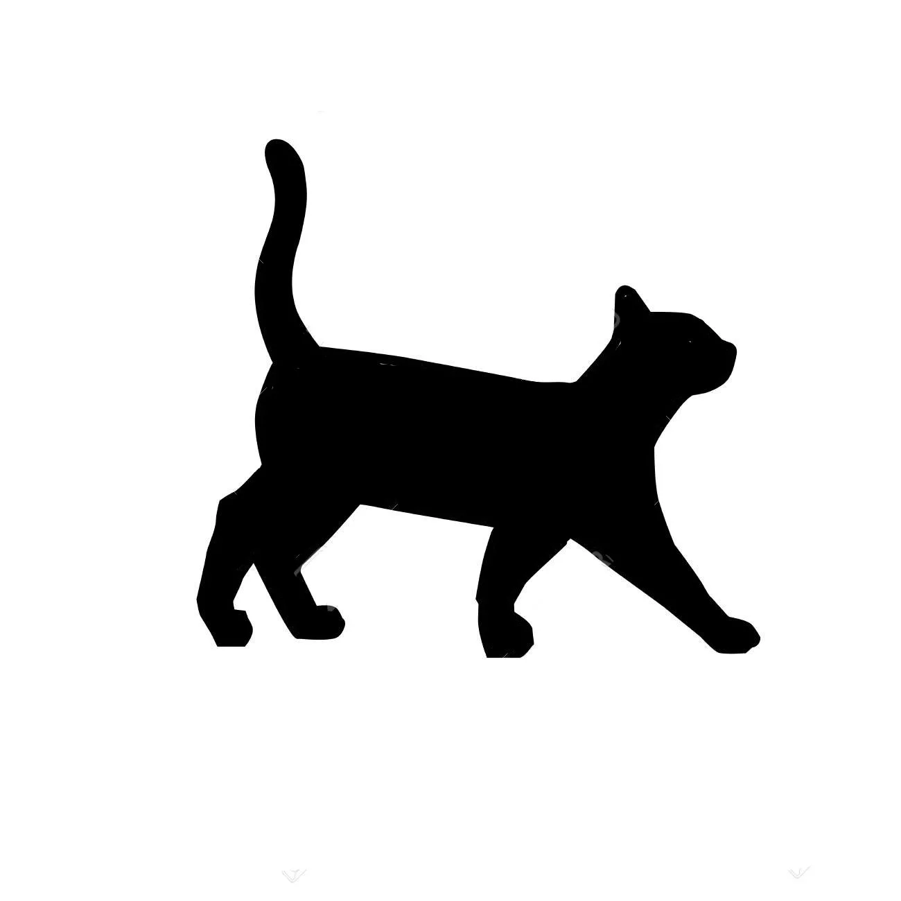 Cat walking 2.jpg (Copy) (Copy) (Copy) (Copy) (Copy)