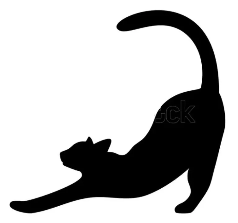 cat stretching 2.jpg (Copy) (Copy) (Copy) (Copy) (Copy)