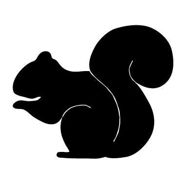 squirrel c.jpg (Copy) (Copy) (Copy) (Copy) (Copy)