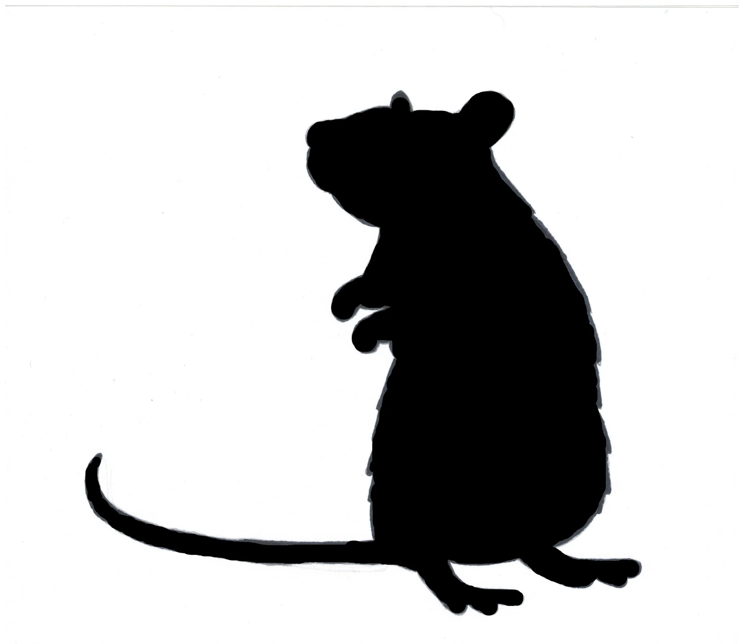 Mouse Rat.jpg (Copy) (Copy) (Copy) (Copy) (Copy)