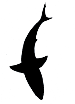 Shark Great White Large Top View filled.png (Copy) (Copy) (Copy) (Copy) (Copy)