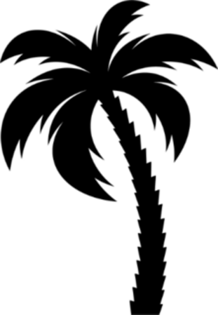 Palm tree b.png (Copy) (Copy) (Copy) (Copy) (Copy)
