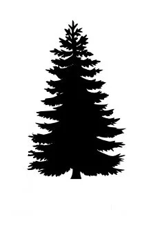 Pine Tree Lone.jpg (Copy) (Copy) (Copy) (Copy) (Copy)
