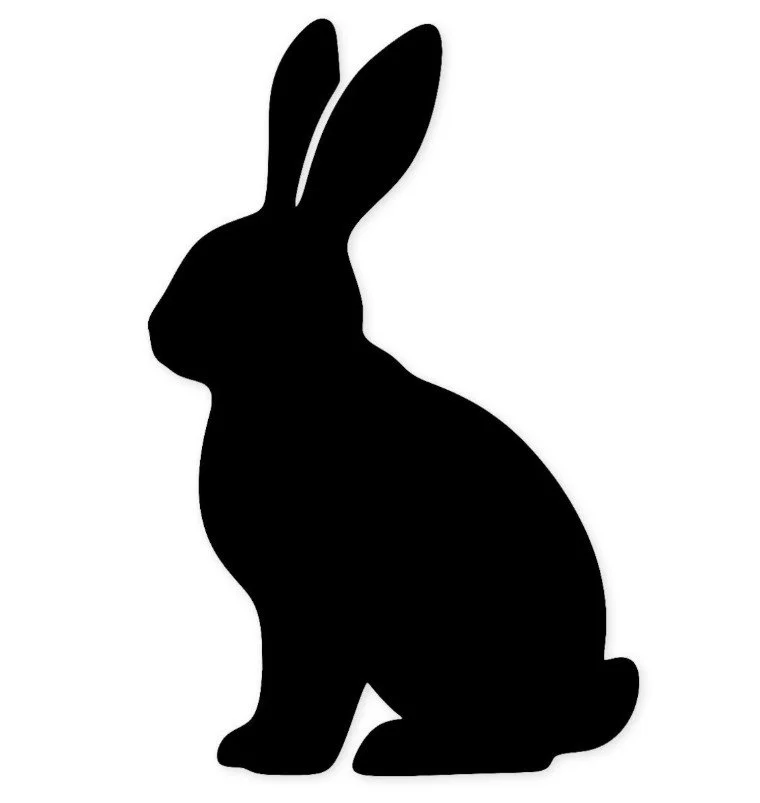 Rabbit.jpg (Copy) (Copy) (Copy) (Copy) (Copy)