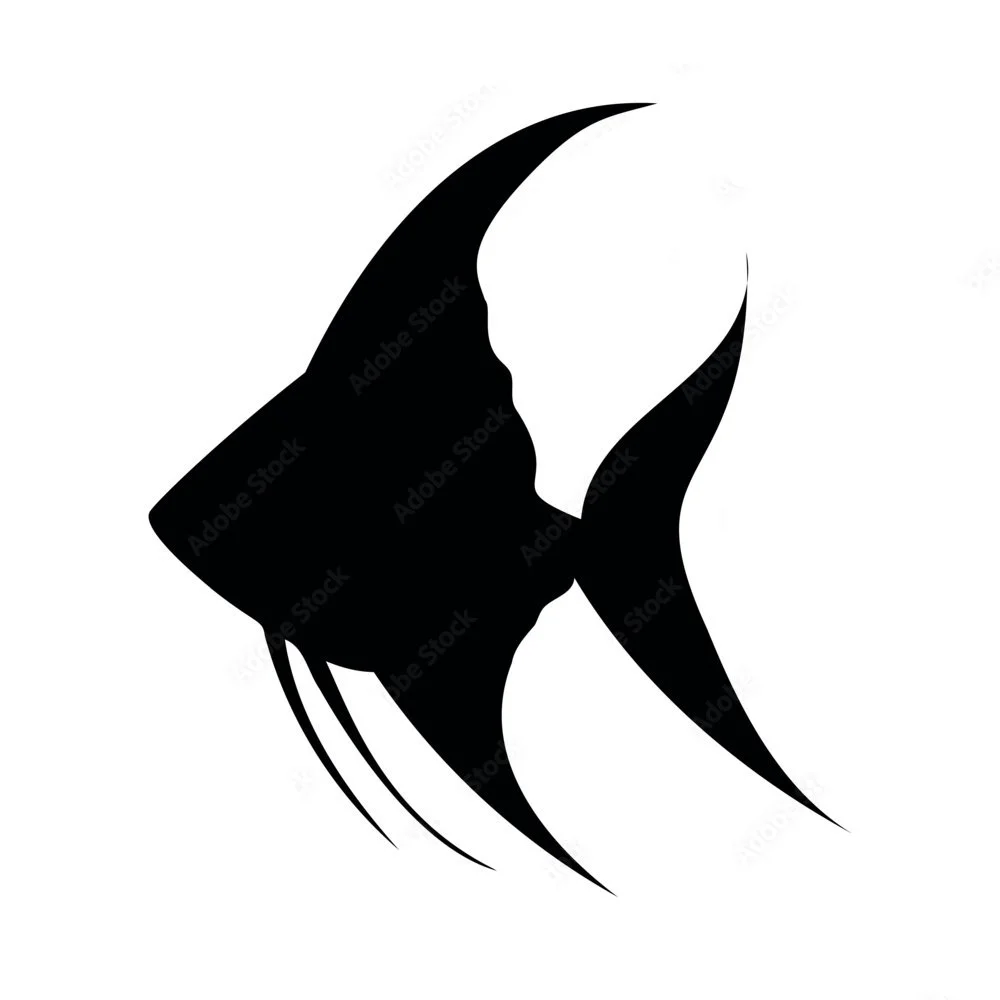 Angelfish.jpg (Copy) (Copy) (Copy) (Copy) (Copy)