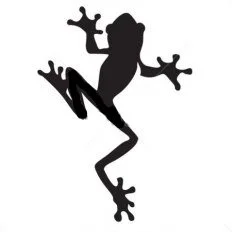 Tree frog 42d44d23f92a1791e4d3f4cd1bfec058.jpg (Copy) (Copy) (Copy) (Copy) (Copy)