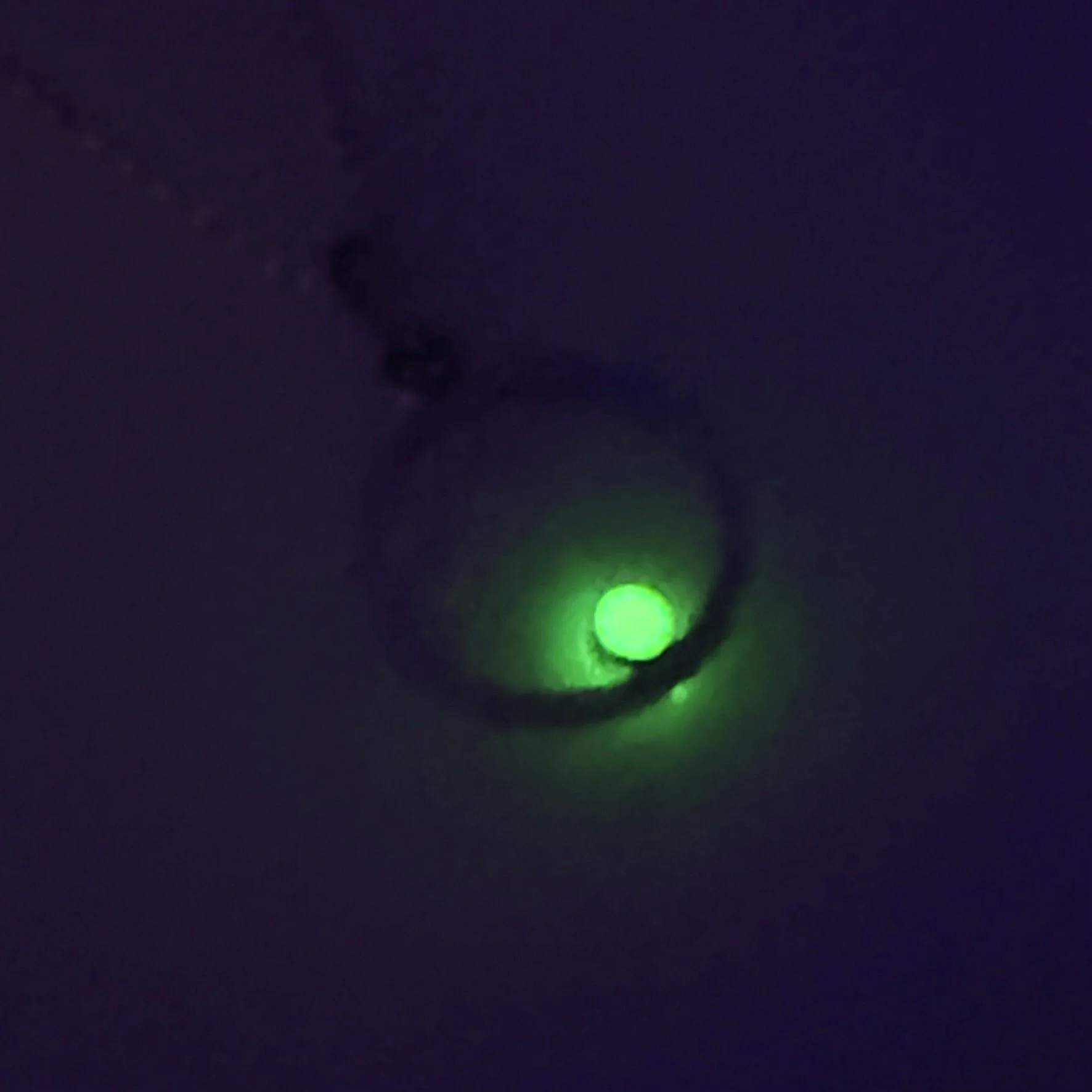 A IMG_1490.JPEG