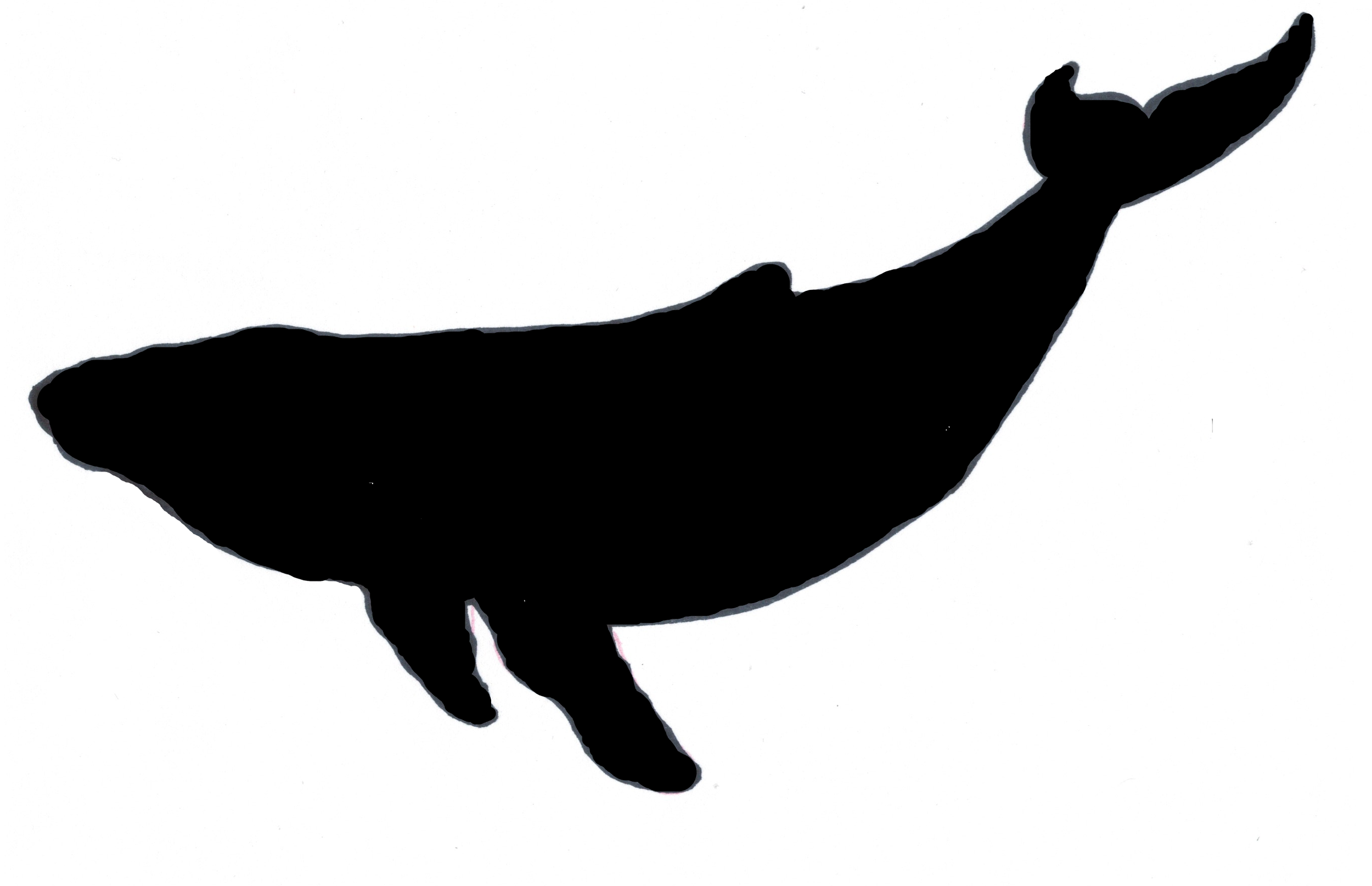 Whale silhouette.png (Copy) (Copy) (Copy) (Copy) (Copy)