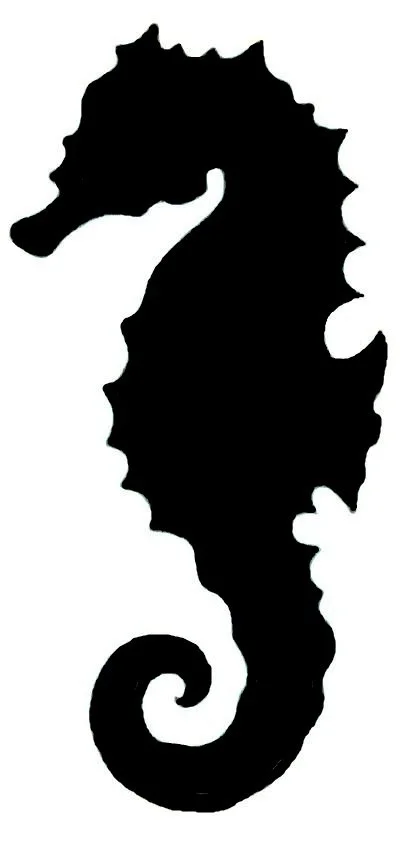seahorse.jpg (Copy) (Copy) (Copy) (Copy) (Copy)