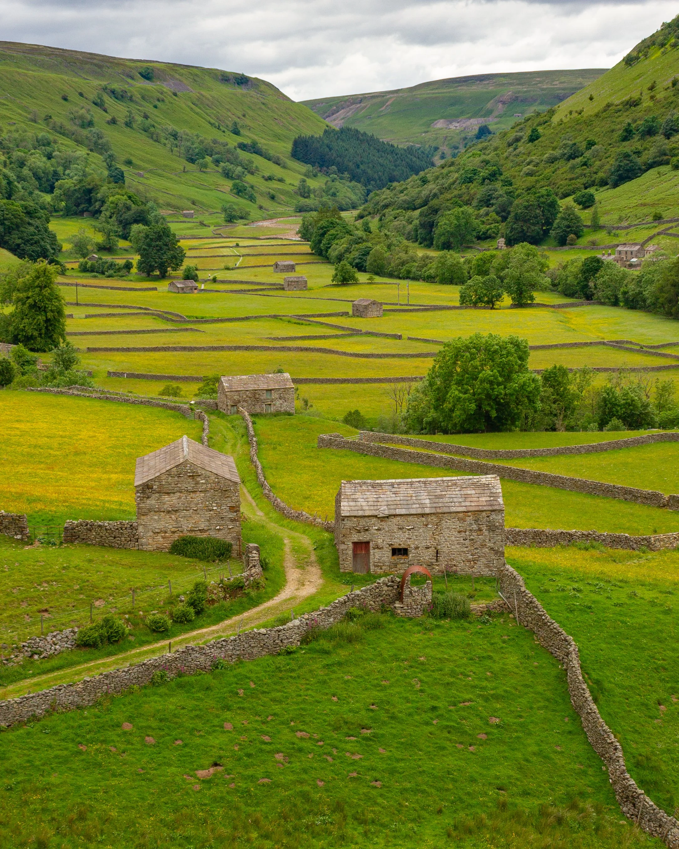 Muker Wildlife Meadows, Swaledale