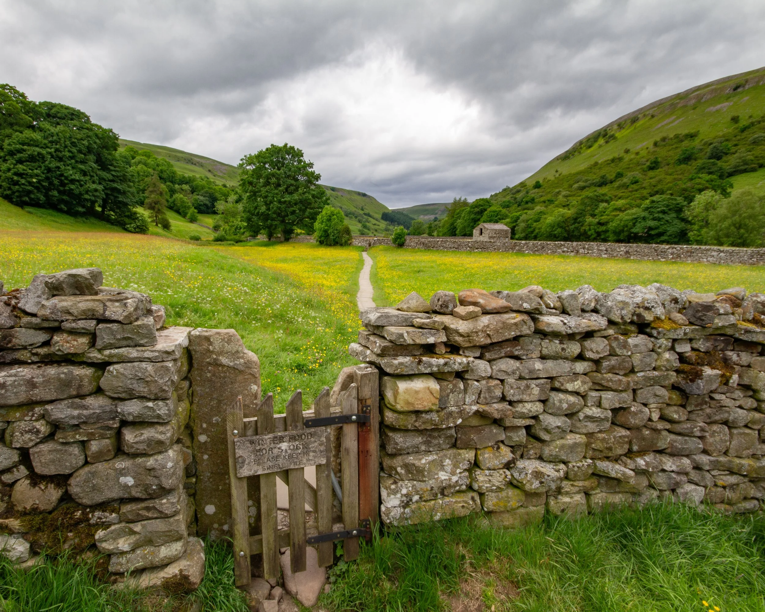 Muker Wildlife Meadows, Swaledale