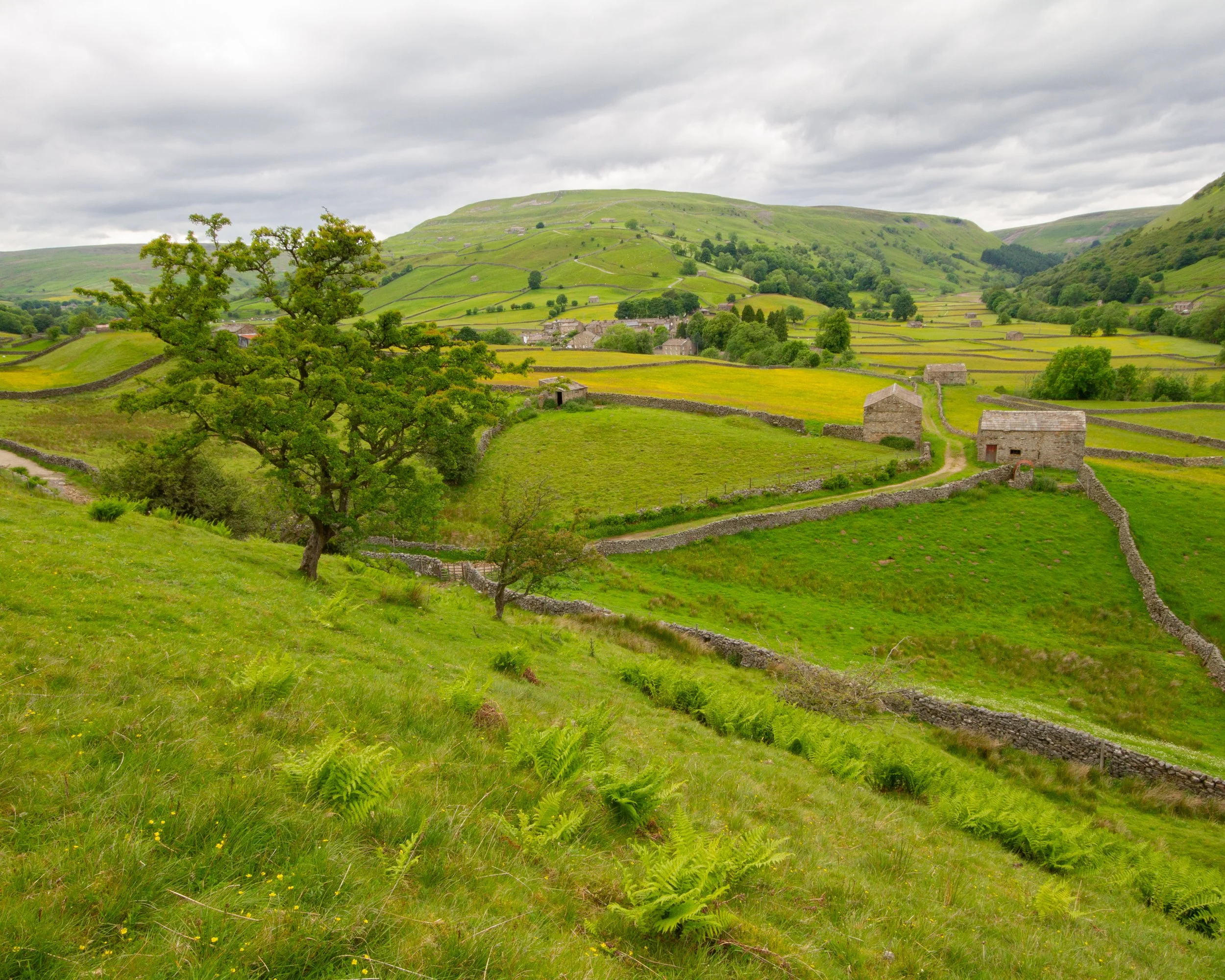 Yorkshire Dales